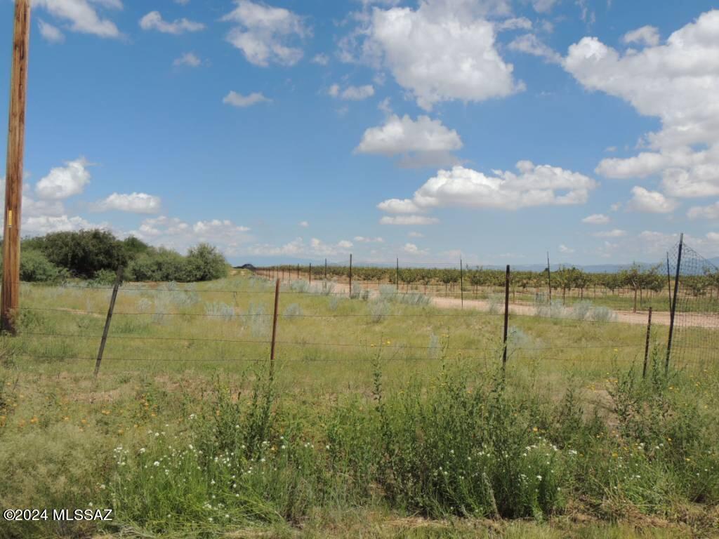 40 Ac - 1/4 M W Off Stronghold Road Cochise, AZ 85606 - Photo 13 of 17