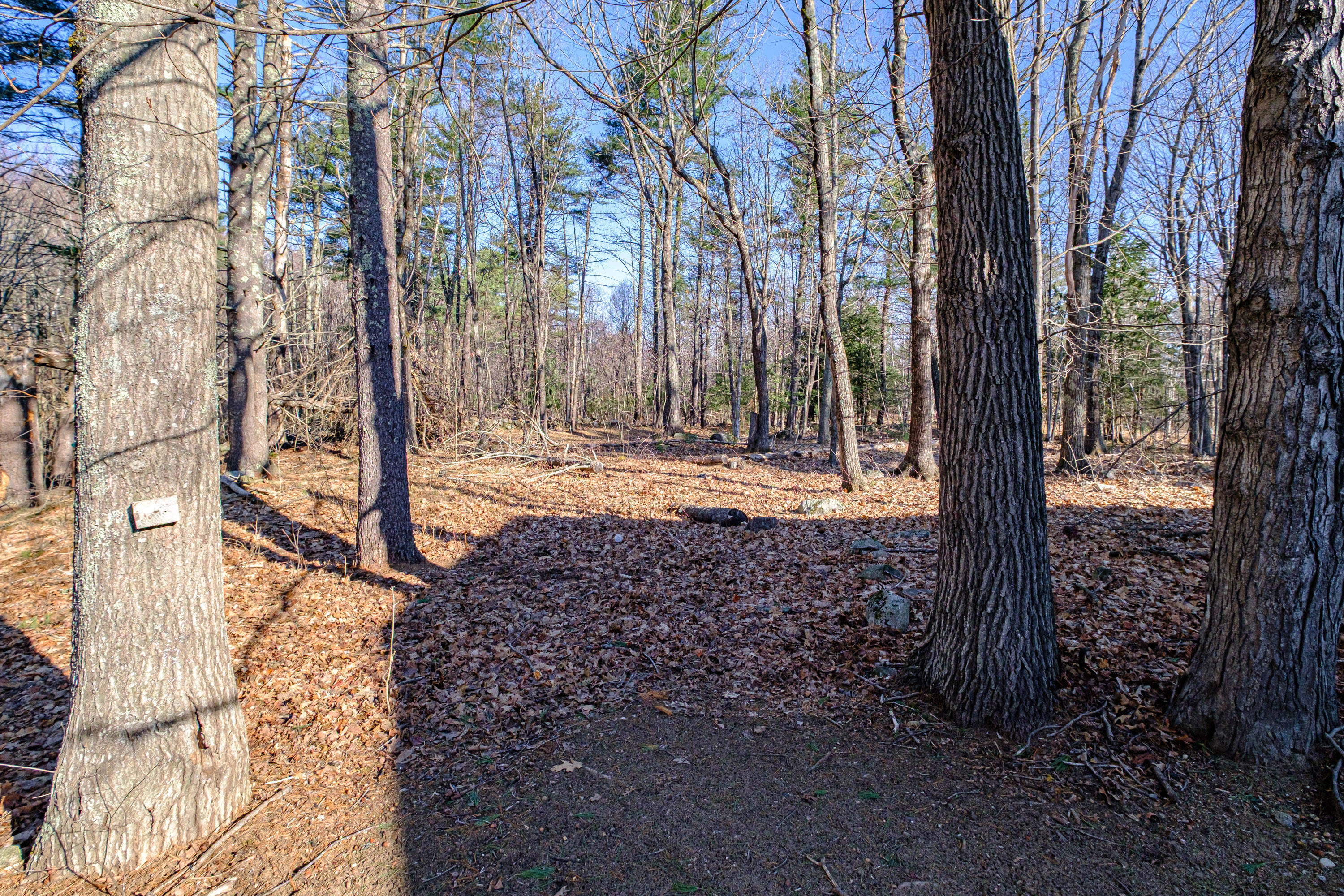 12 Deshon Hill Road Alfred, ME 04002 - Photo 49 of 59 Spacious Private Yard