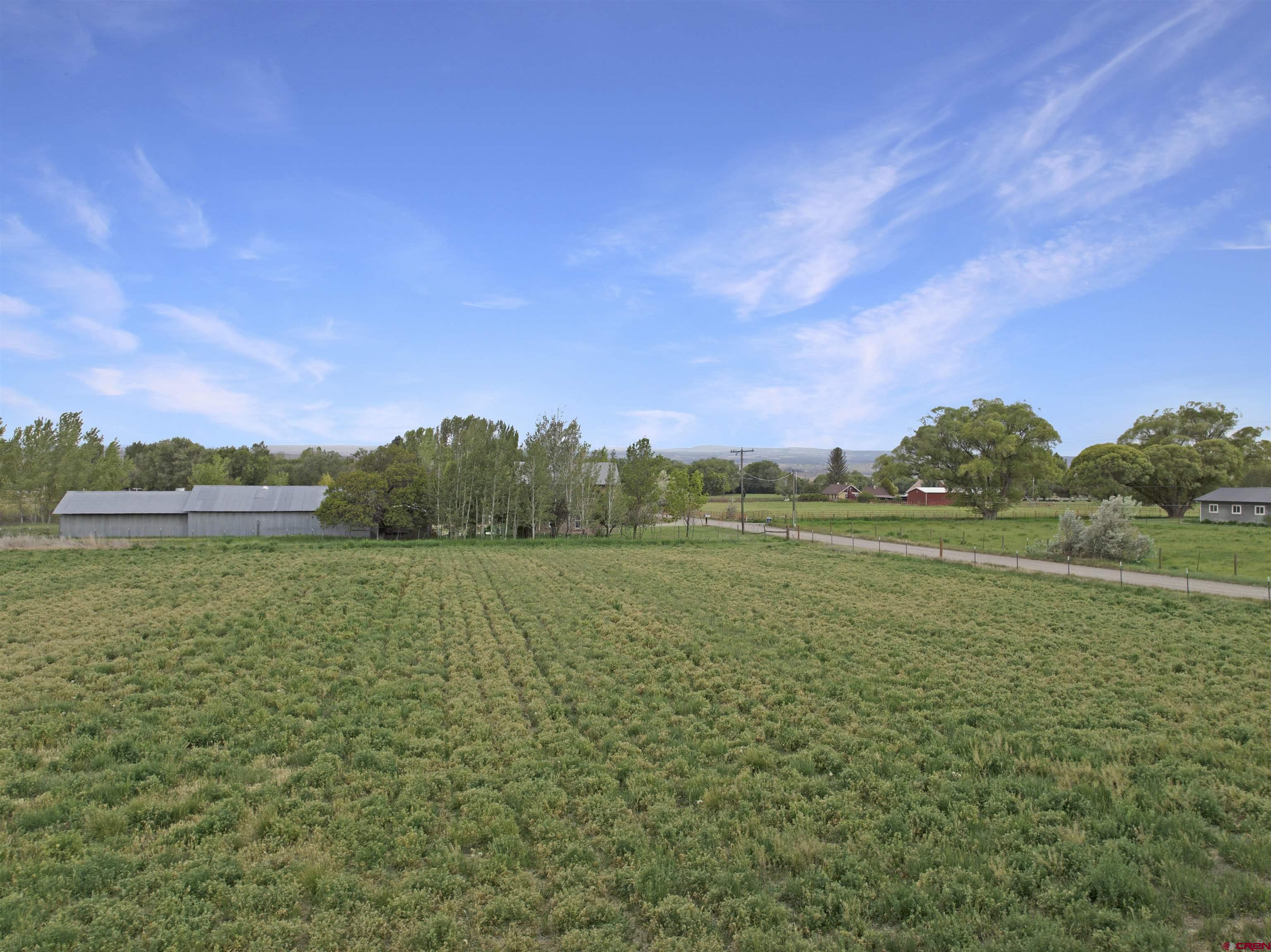 10944 3500th Road Hotchkiss, CO 81419 - Photo 43 of 45