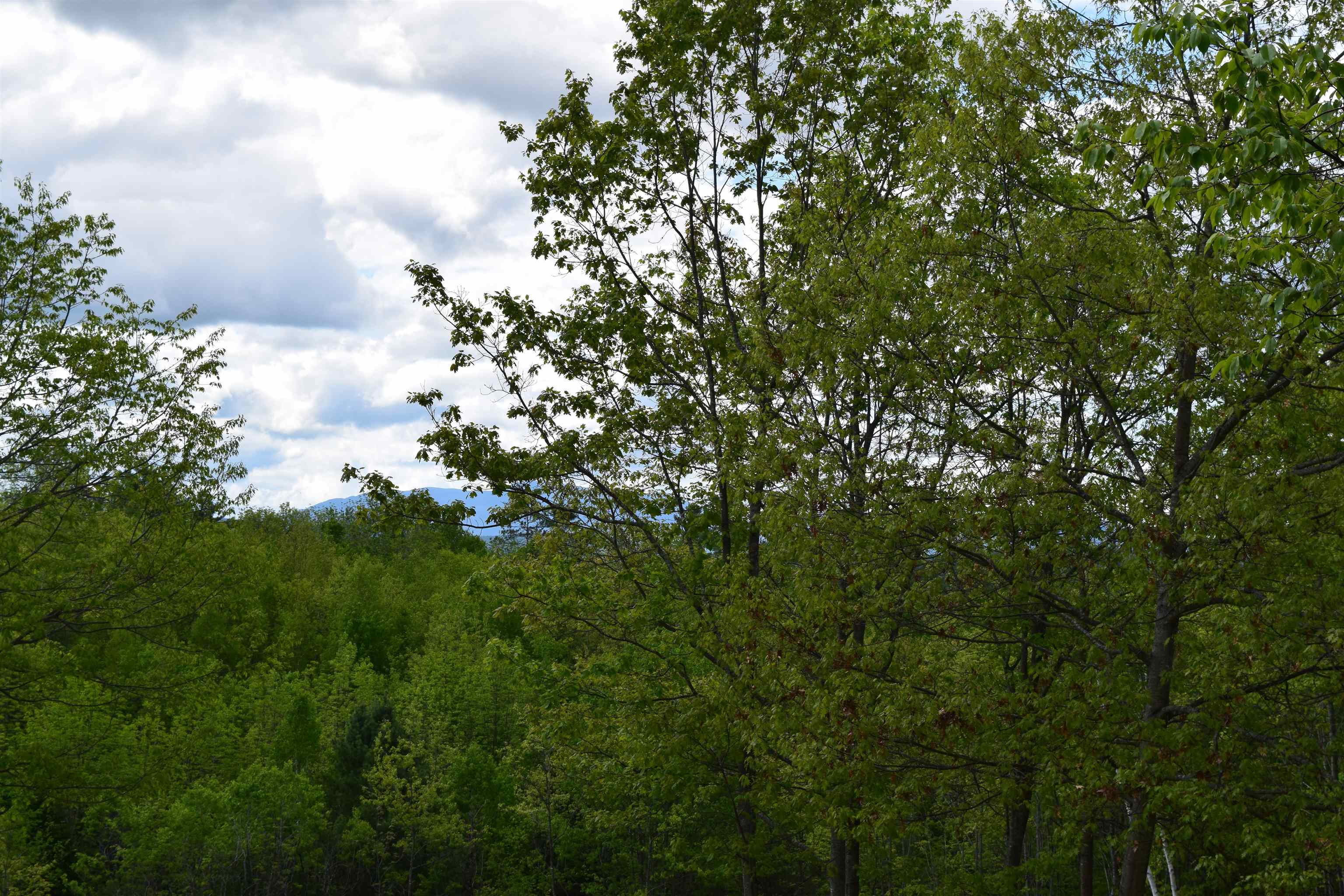 151 Moulton Hill Road Lyman, NH 03585 - Photo 11 of 26
