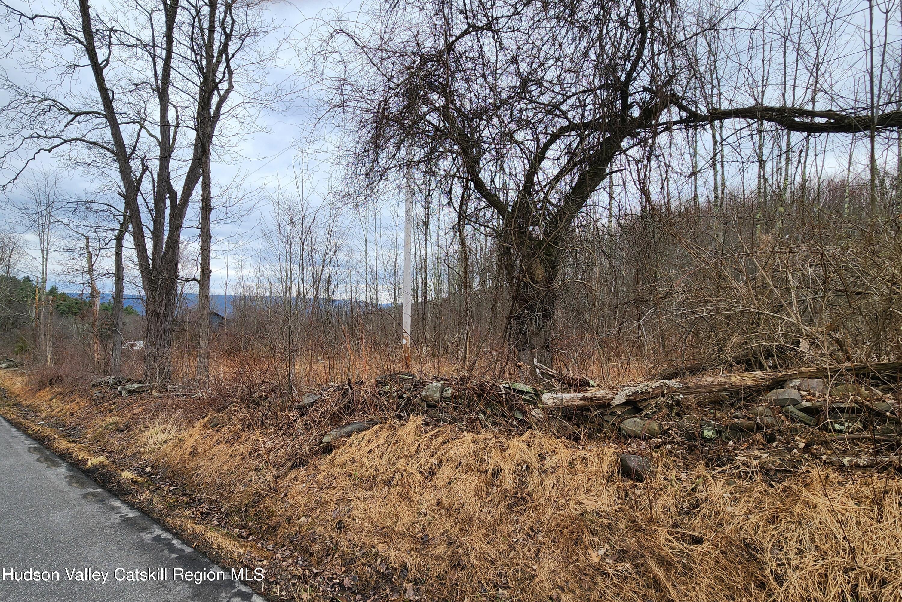 Tbd Irish Cape Road Ellenville, NY 12428 - Photo 14 of 16 a view of backyard with green space
