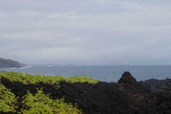 13 Beach Road Pahoa, HI 96778 - Photo 2 of 4 a view of a lake with a yard