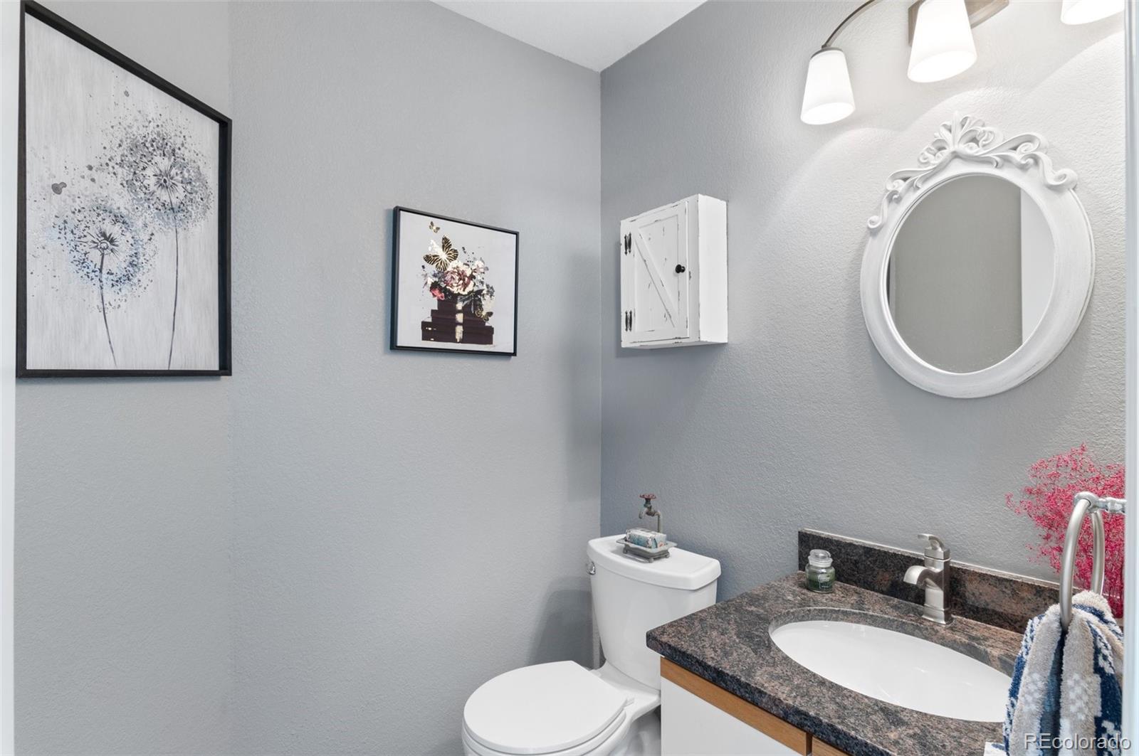 9836 Buckingham Court Highlands Ranch, CO 80130 - Photo 23 of 42 a bathroom with a toilet sink and mirror