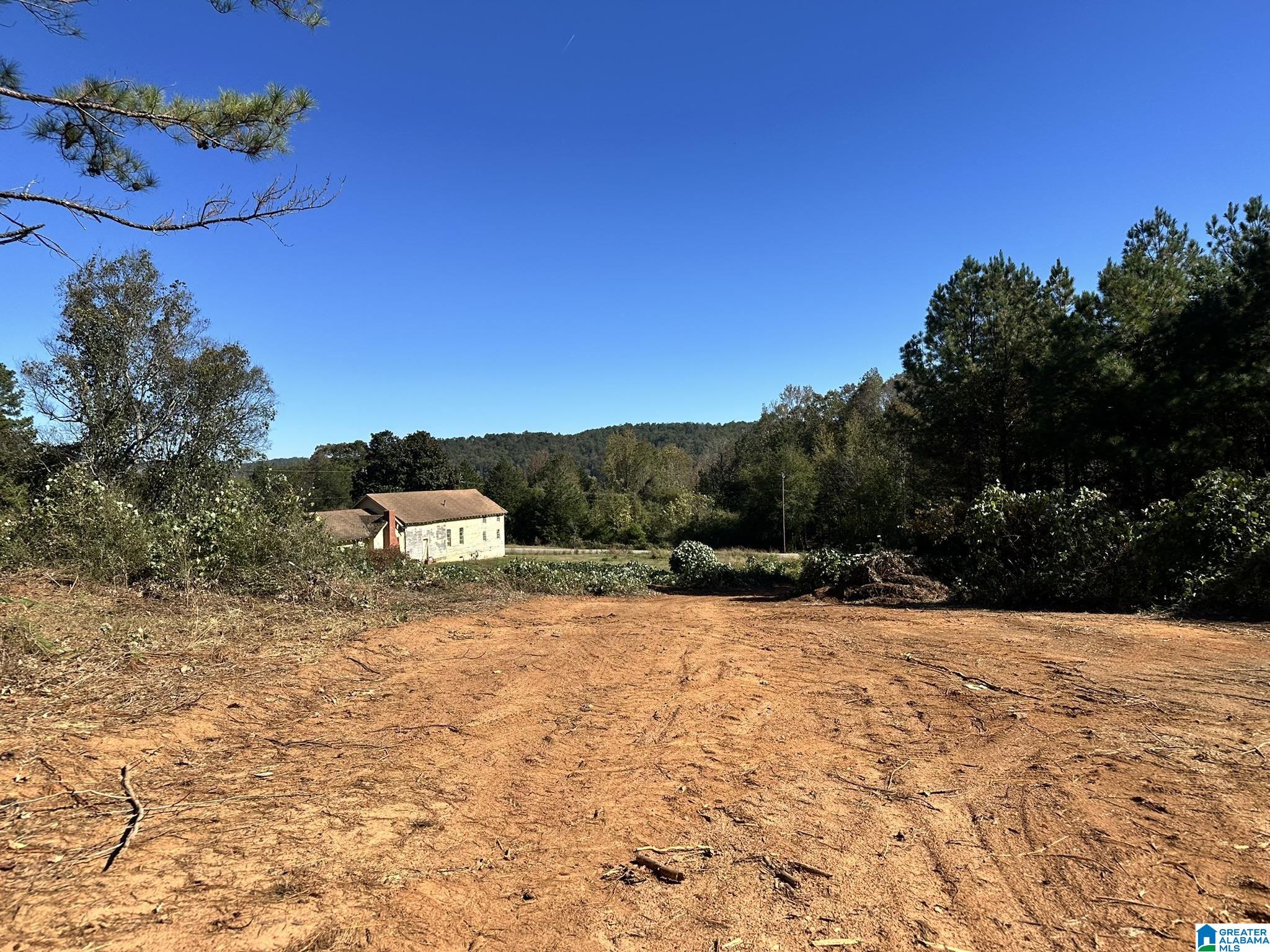 0 Rabbittown Road Piedmont, AL 36272 - Photo 7 of 7