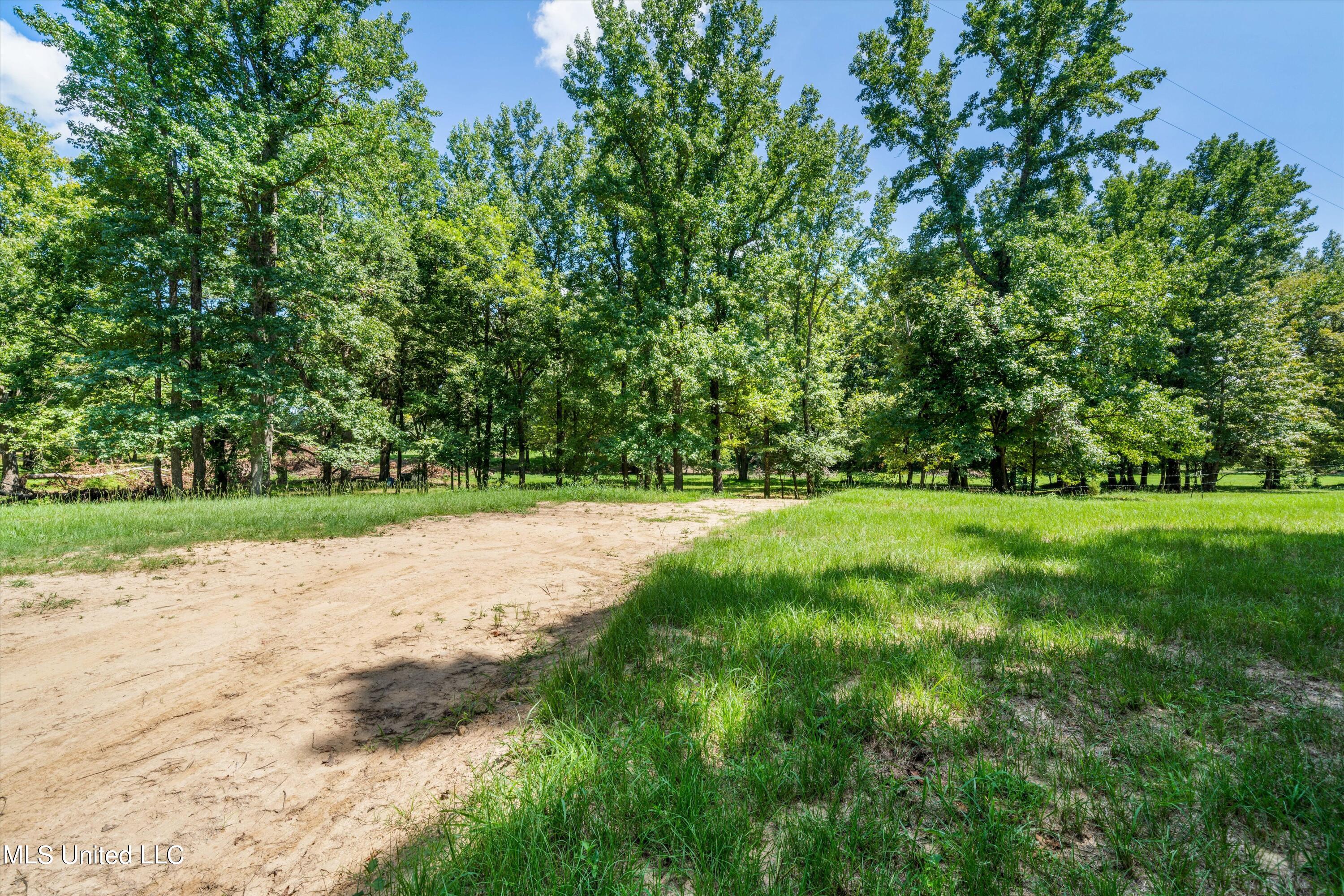 30 Williams Road Como, MS 38619 - Photo 1 of 28 02-Final (30 Williams Rd)-2