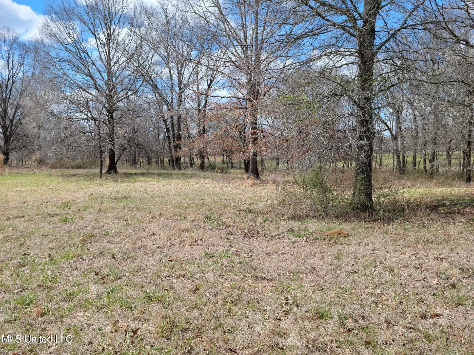 30 Williams Road Como, MS 38619 - Photo 14 of 28 Attachment_2