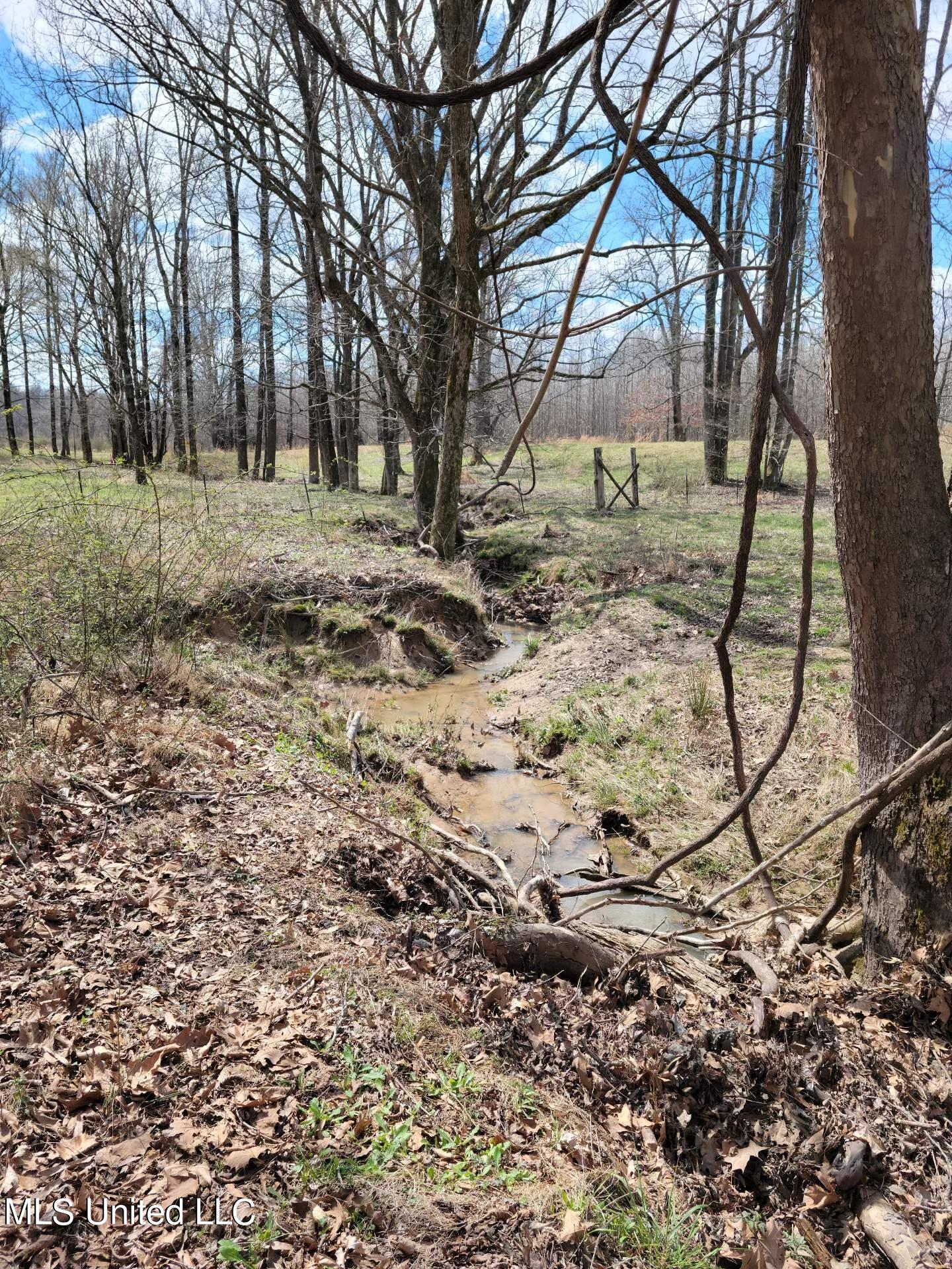 30 Williams Road Como, MS 38619 - Photo 15 of 28 Attachment_3