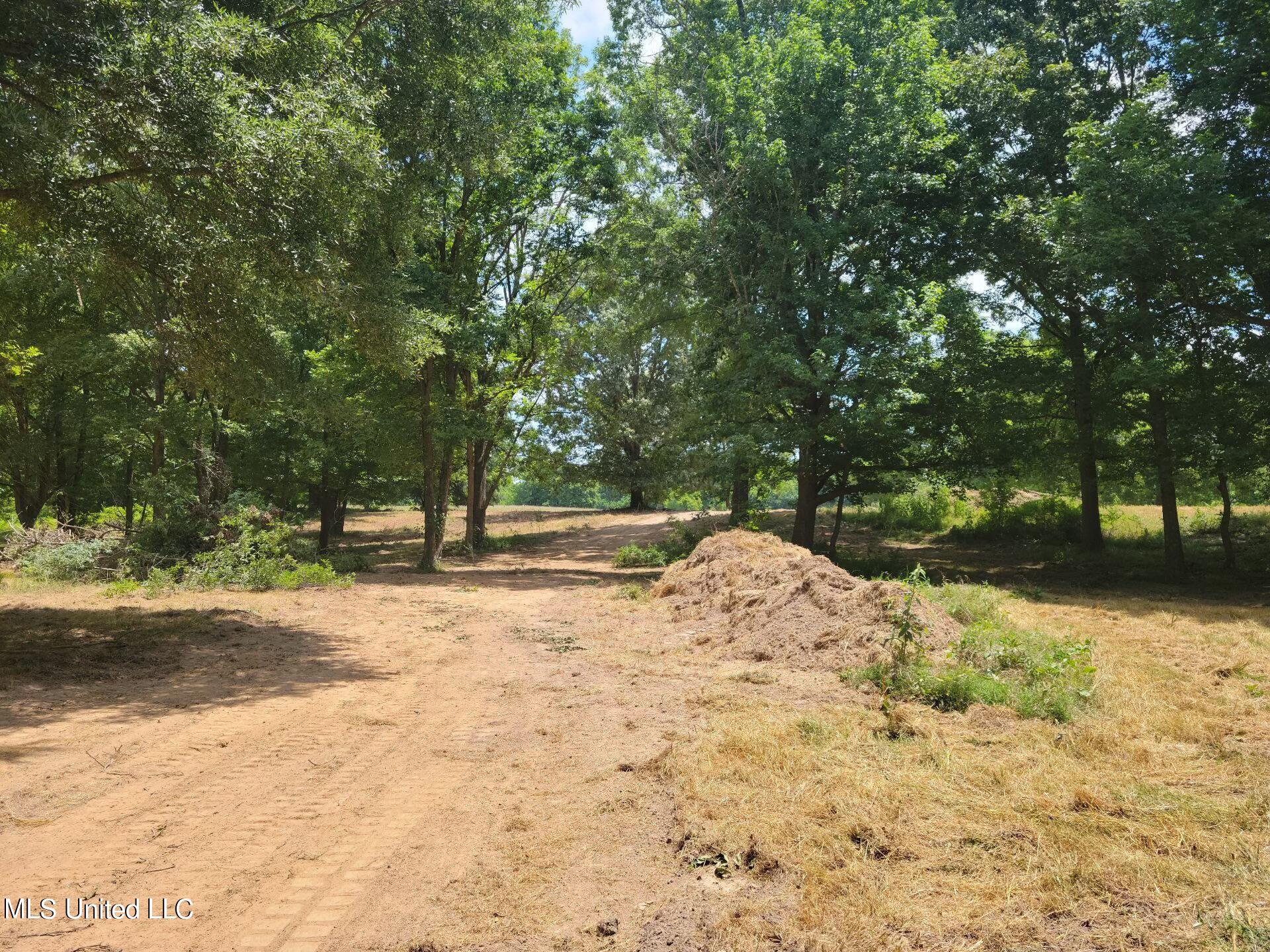 30 Williams Road Como, MS 38619 - Photo 19 of 28 Attachment_7