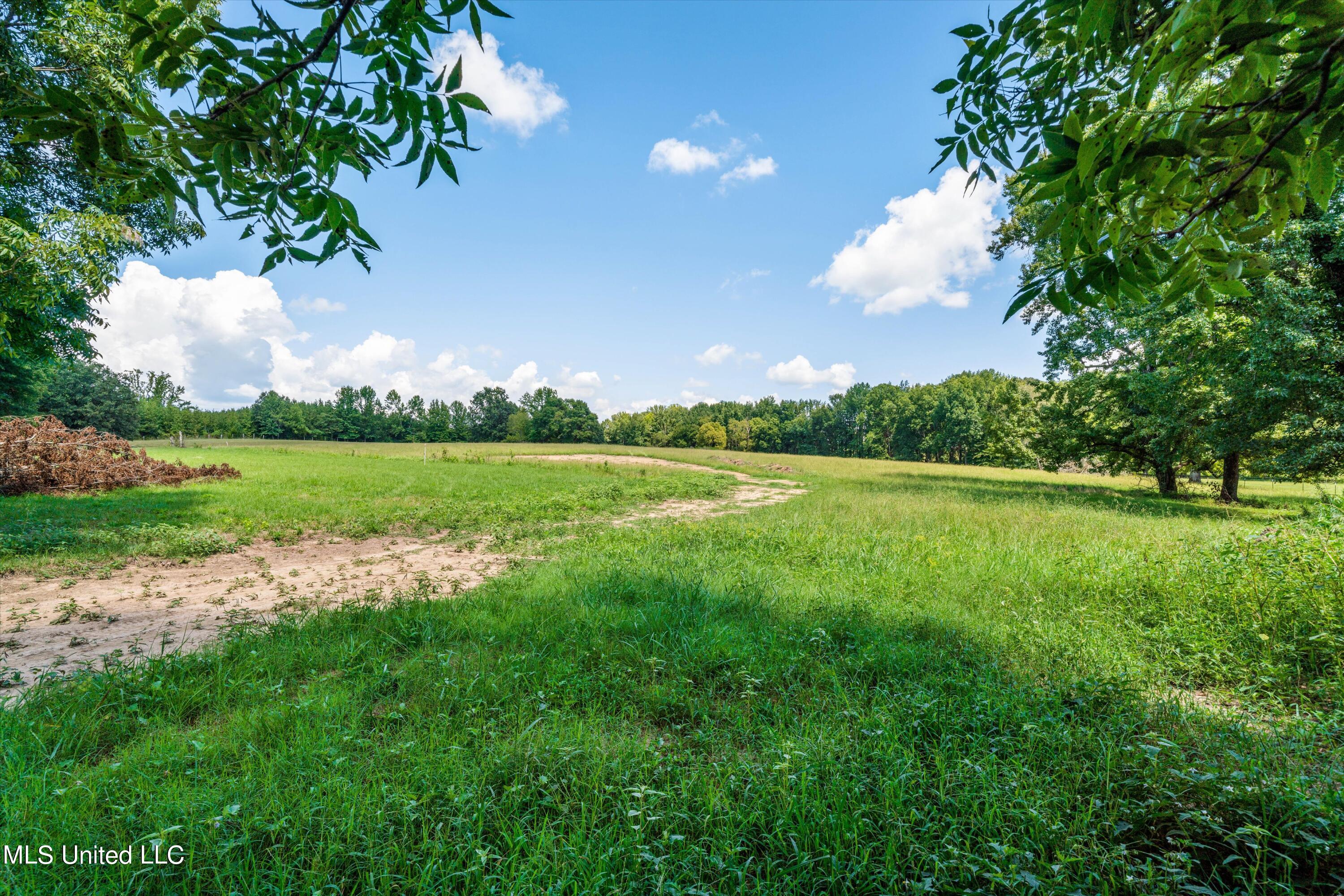 30 Williams Road Como, MS 38619 - Photo 2 of 28 03-Final (30 Williams Rd)-3