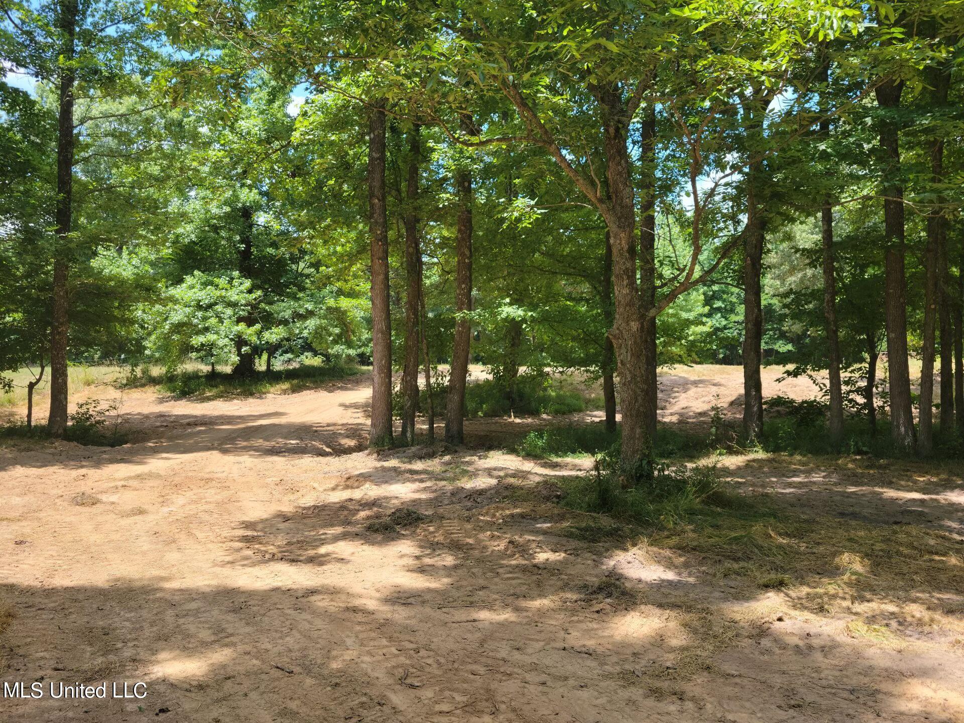 30 Williams Road Como, MS 38619 - Photo 21 of 28 Attachment_8