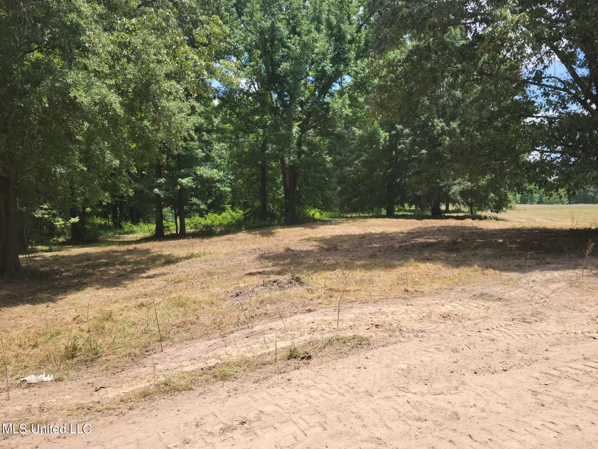 30 Williams Road Como, MS 38619 - Photo 22 of 28 Attachment_10