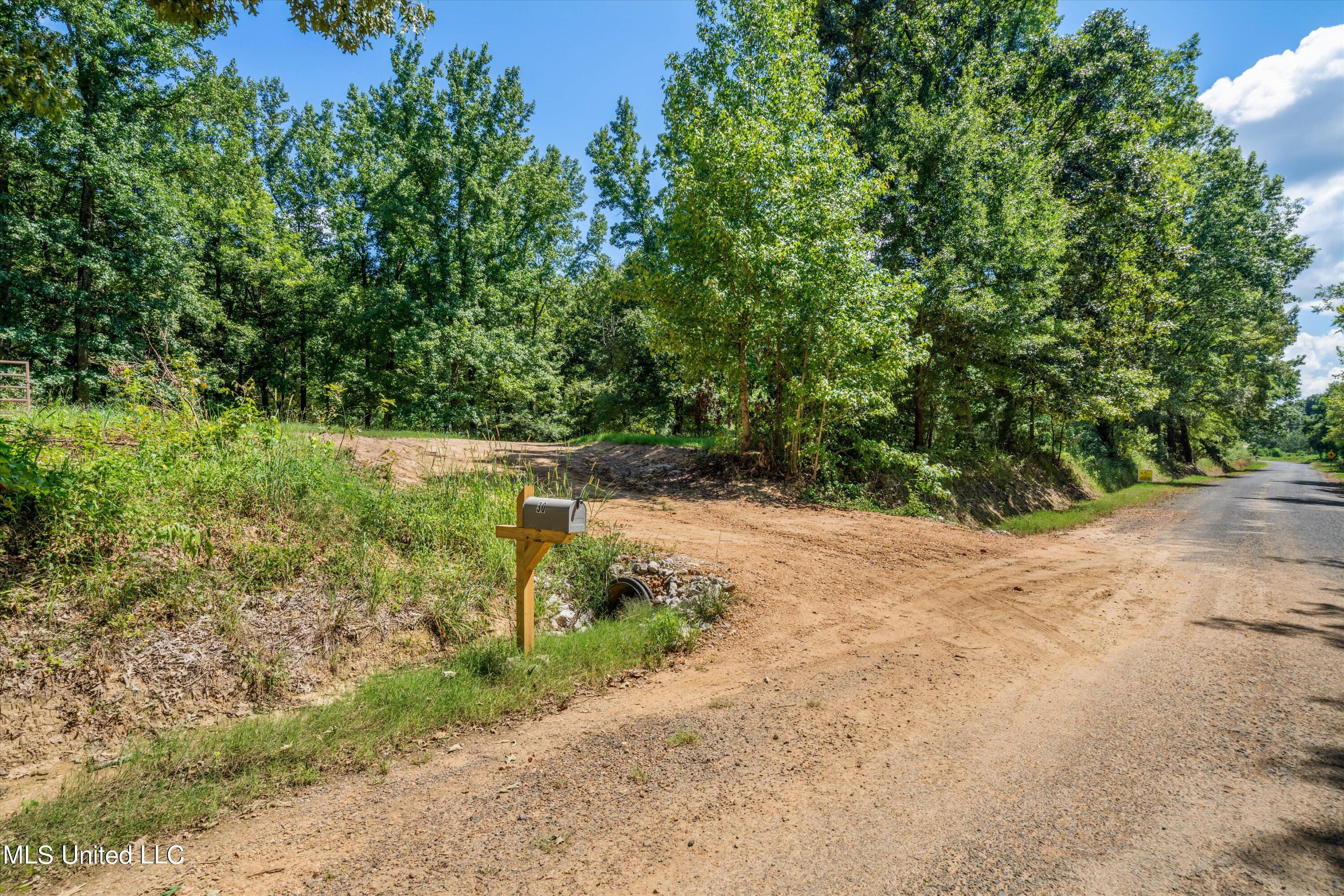 30 Williams Road Como, MS 38619 - Photo 27 of 28 01-Final (30 Williams Rd)-1