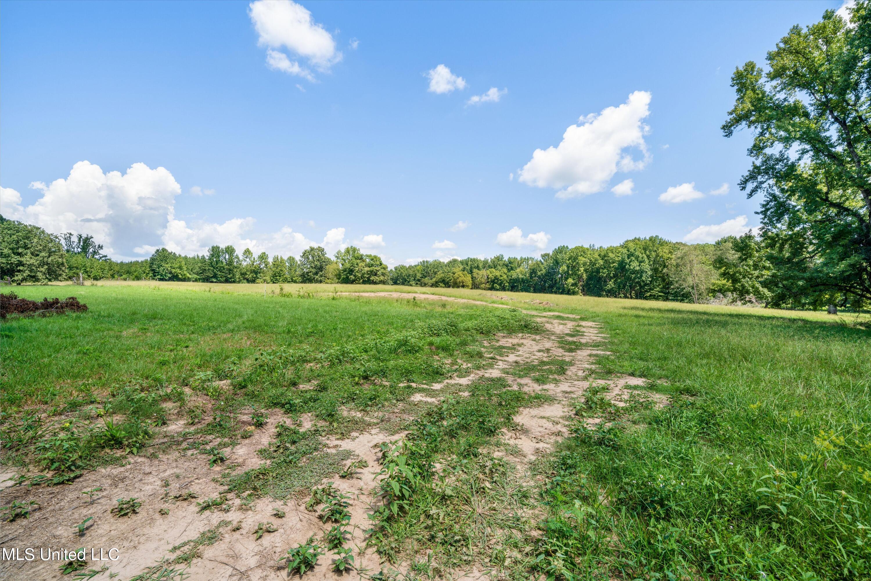 30 Williams Road Como, MS 38619 - Photo 3 of 28 04-Final (30 Williams Rd)-4