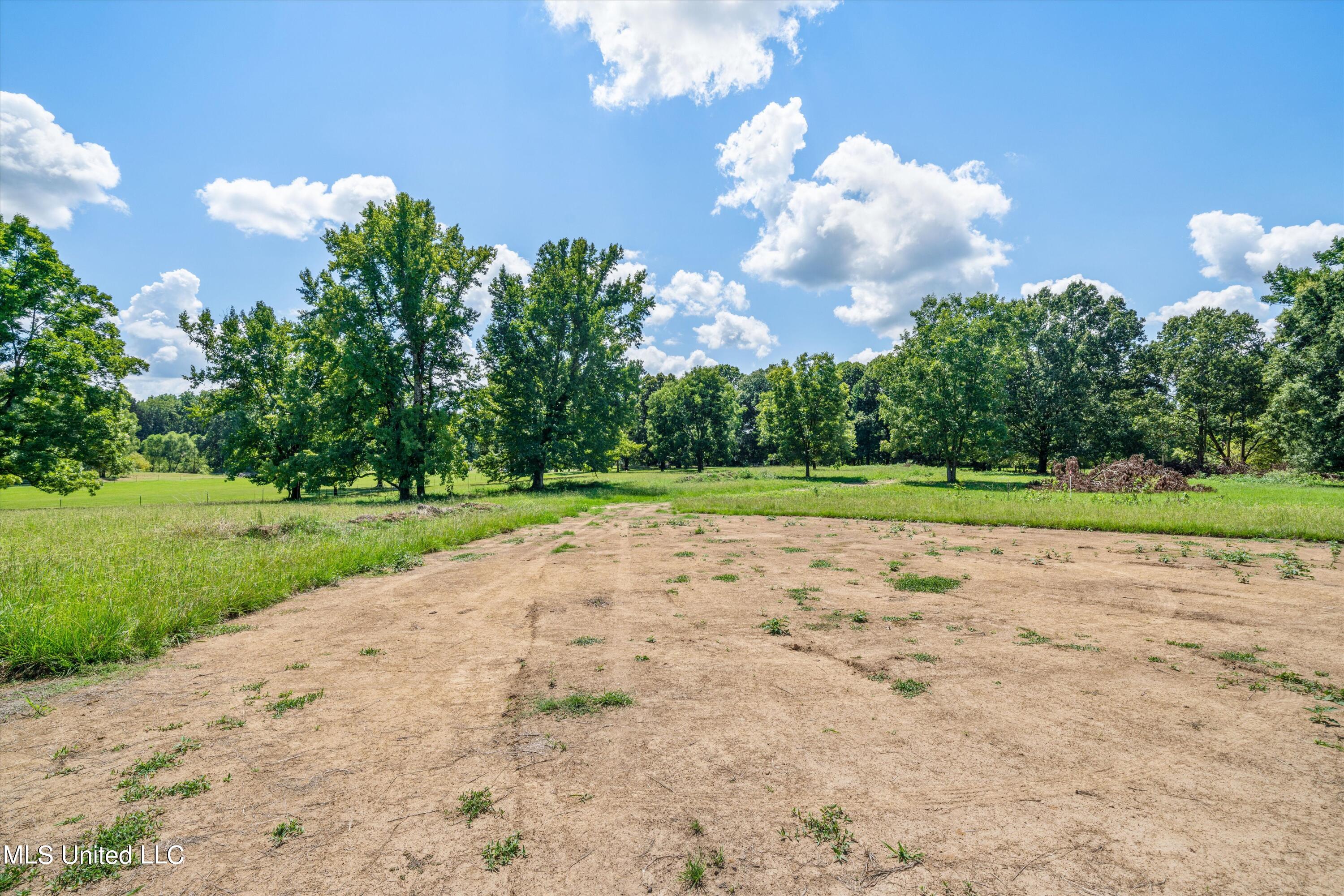 30 Williams Road Como, MS 38619 - Photo 4 of 28 05-Final (30 Williams Rd)-5