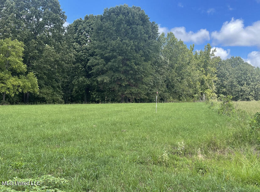 30 Williams Road Como, MS 38619 - Photo 5 of 28 image_6487327-2