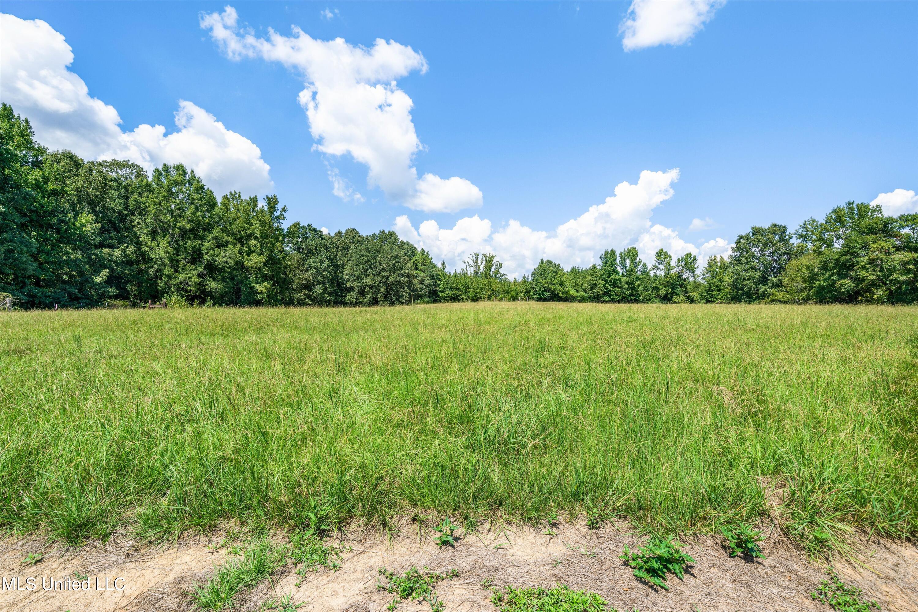 30 Williams Road Como, MS 38619 - Photo 6 of 28 06-Final (30 Williams Rd)-6