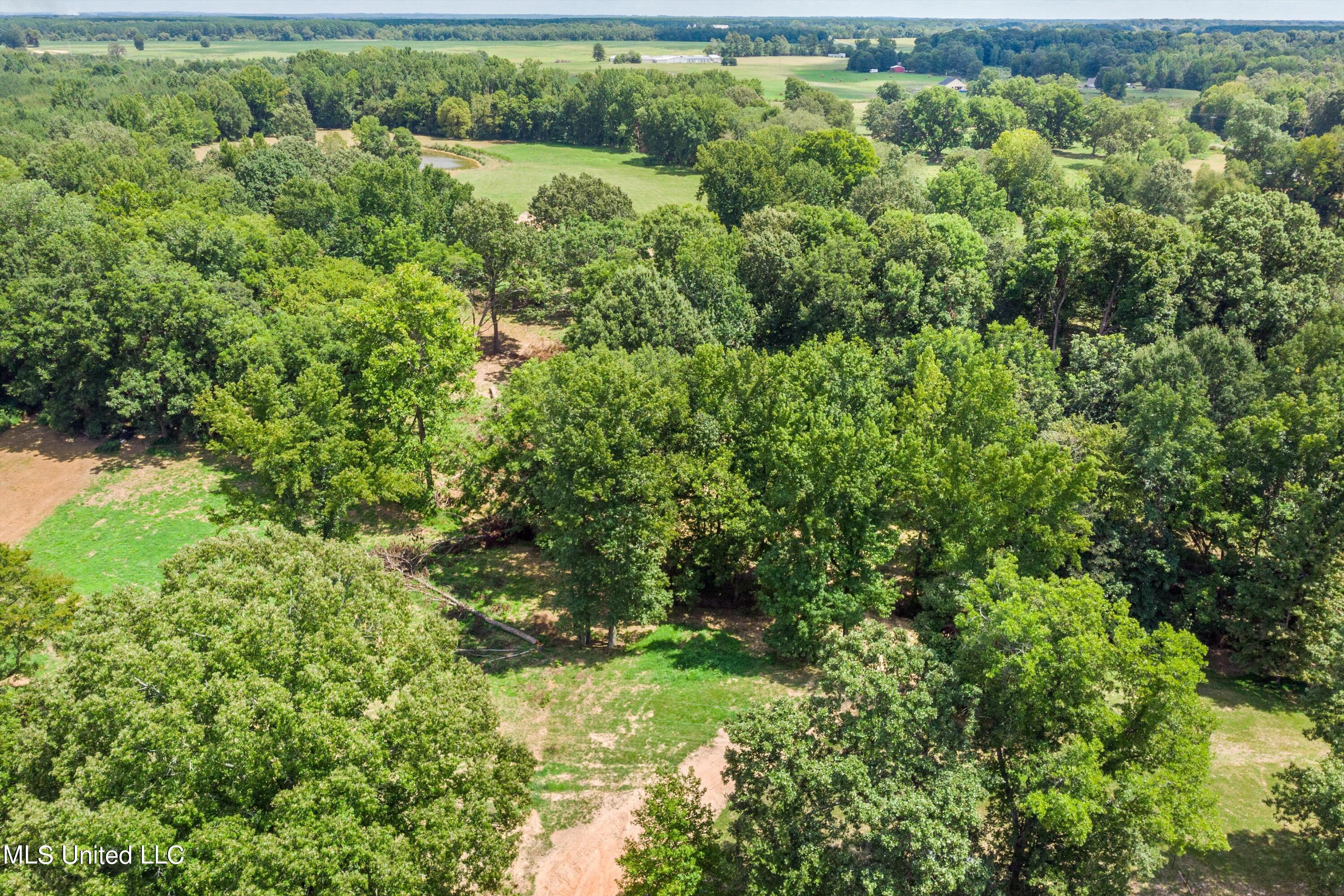 30 Williams Road Como, MS 38619 - Photo 7 of 28 07-Final (30 Williams Rd)-7