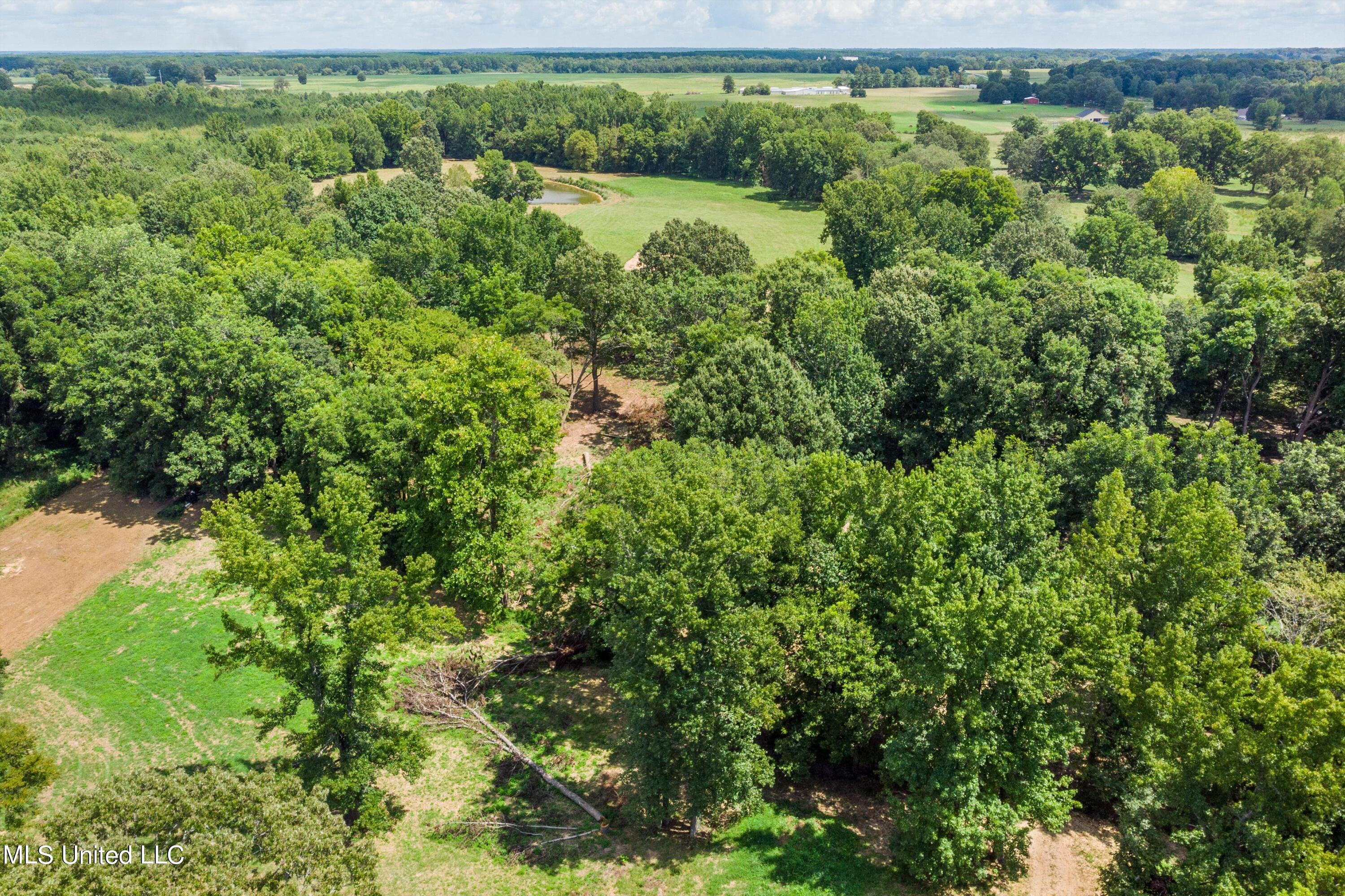 30 Williams Road Como, MS 38619 - Photo 8 of 28 08-Final (30 Williams Rd)-8
