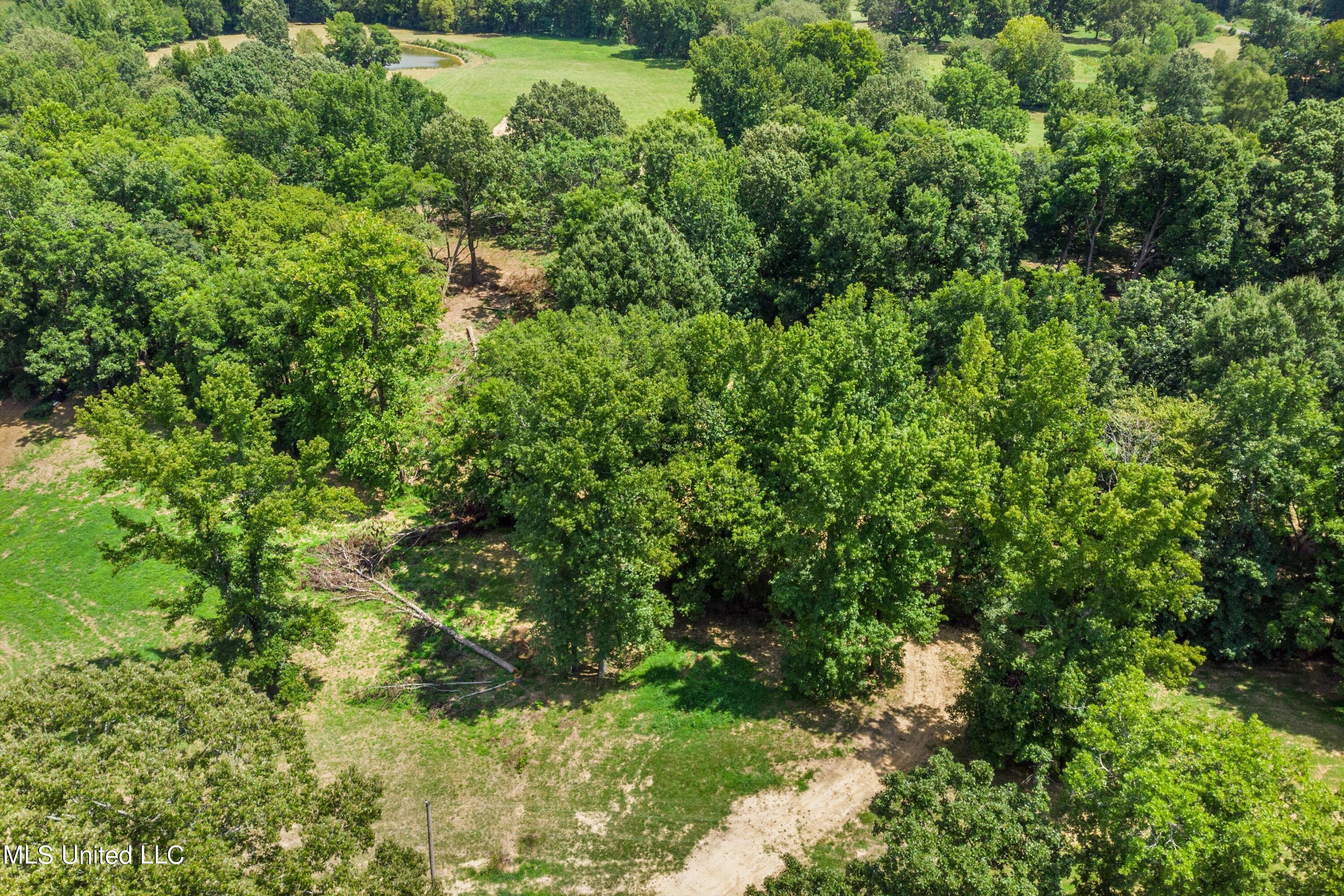 30 Williams Road Como, MS 38619 - Photo 9 of 28 09-Final (30 Williams Rd)-9