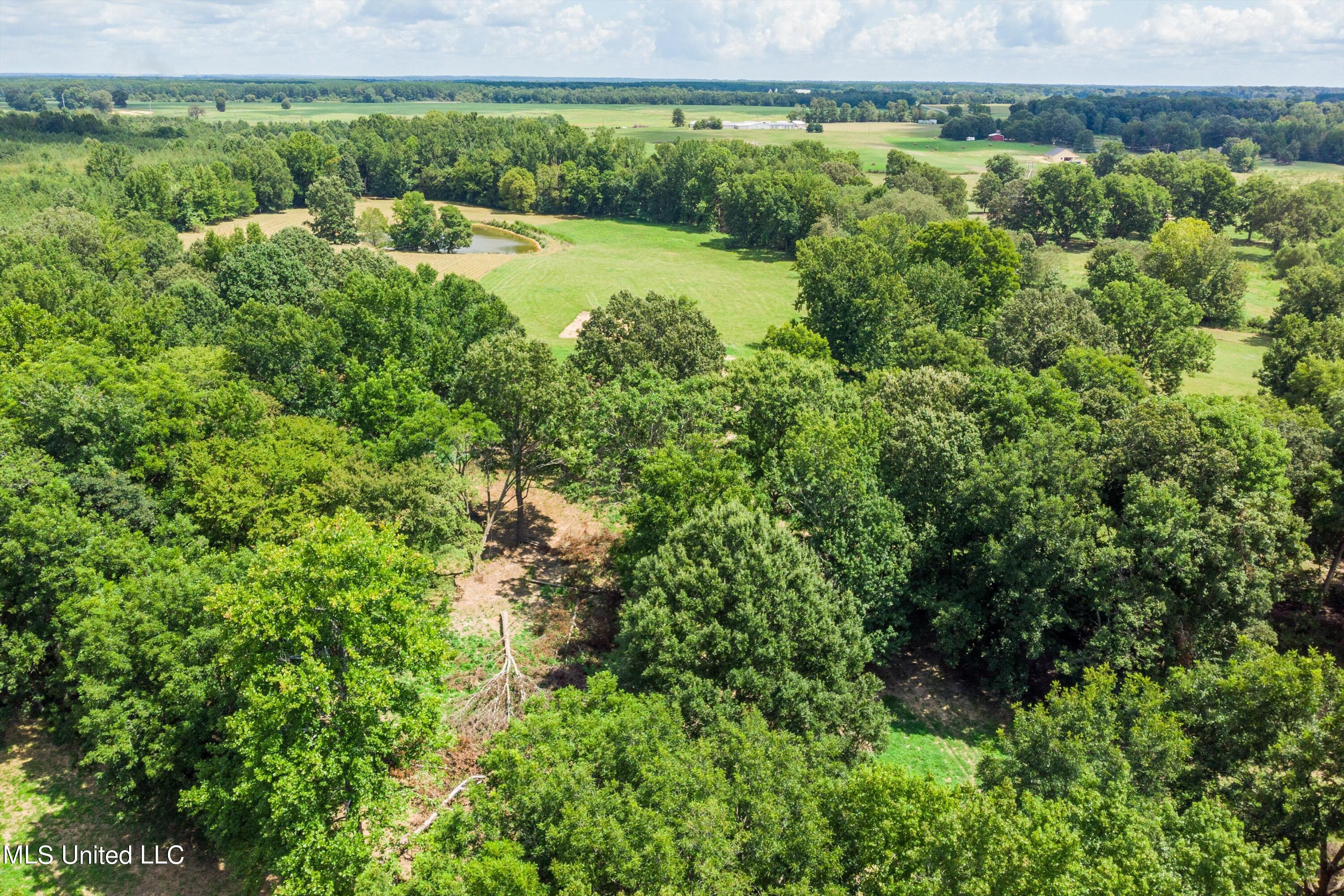30 Williams Road Como, MS 38619 - Photo 10 of 28 10-Final (30 Williams Rd)-10