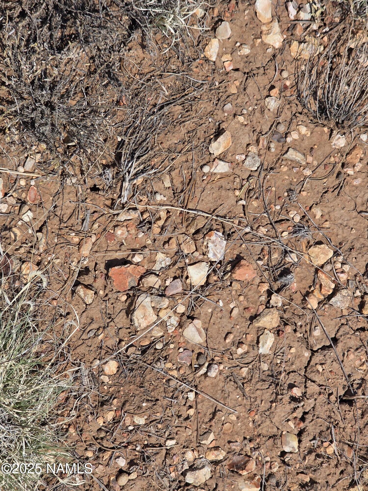 913 South Kaibab Road Williams, AZ 86046 - Photo 12 of 27 a view of a yard