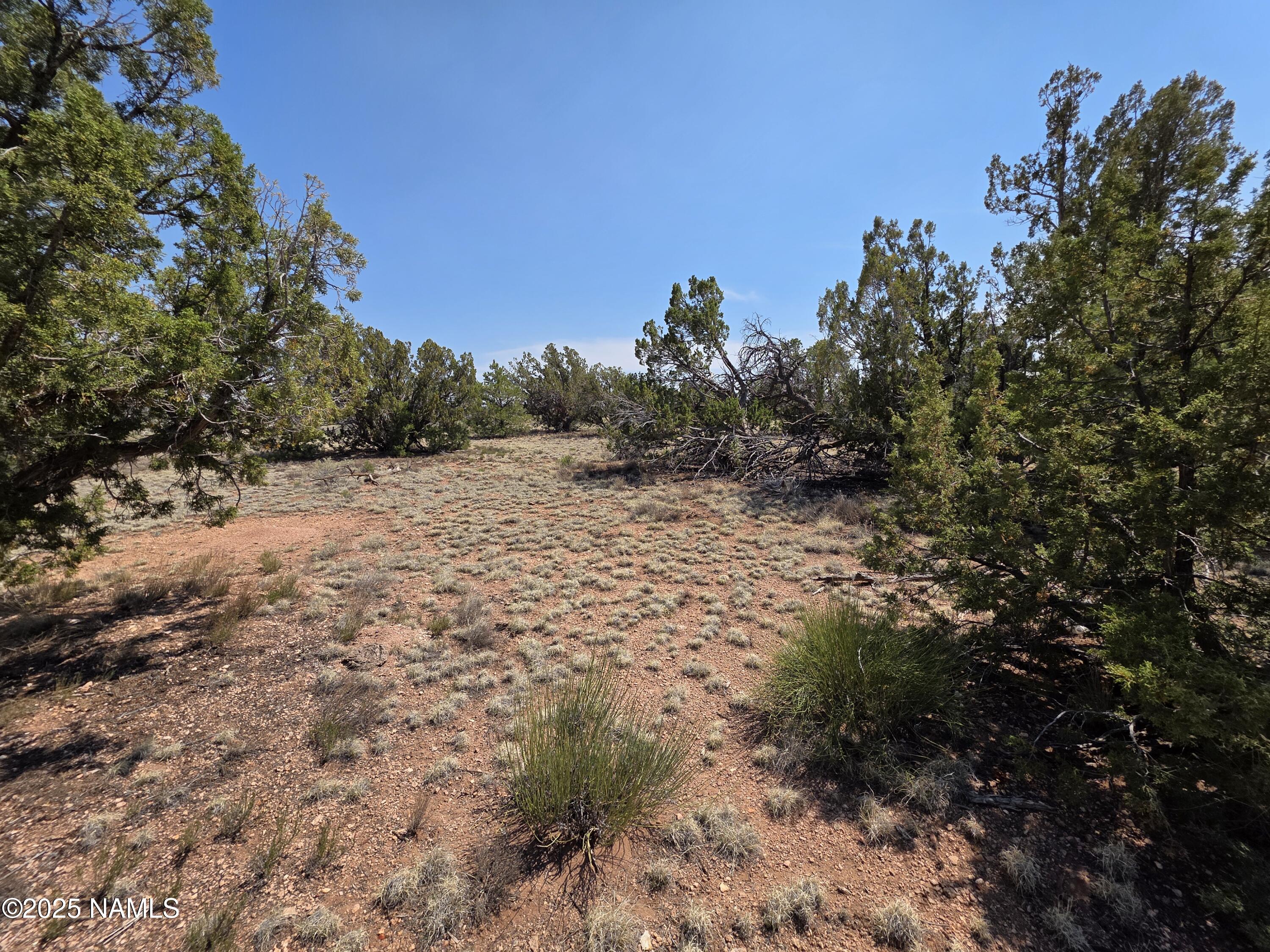 913 South Kaibab Road Williams, AZ 86046 - Photo 14 of 27 a view of a road with a trees in the background