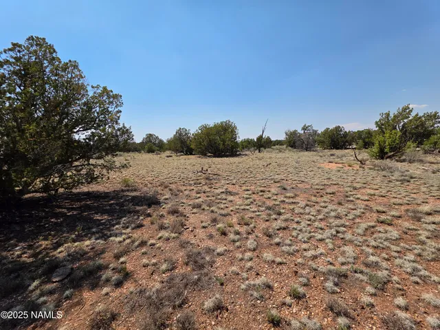 a view of a field with trees in the background