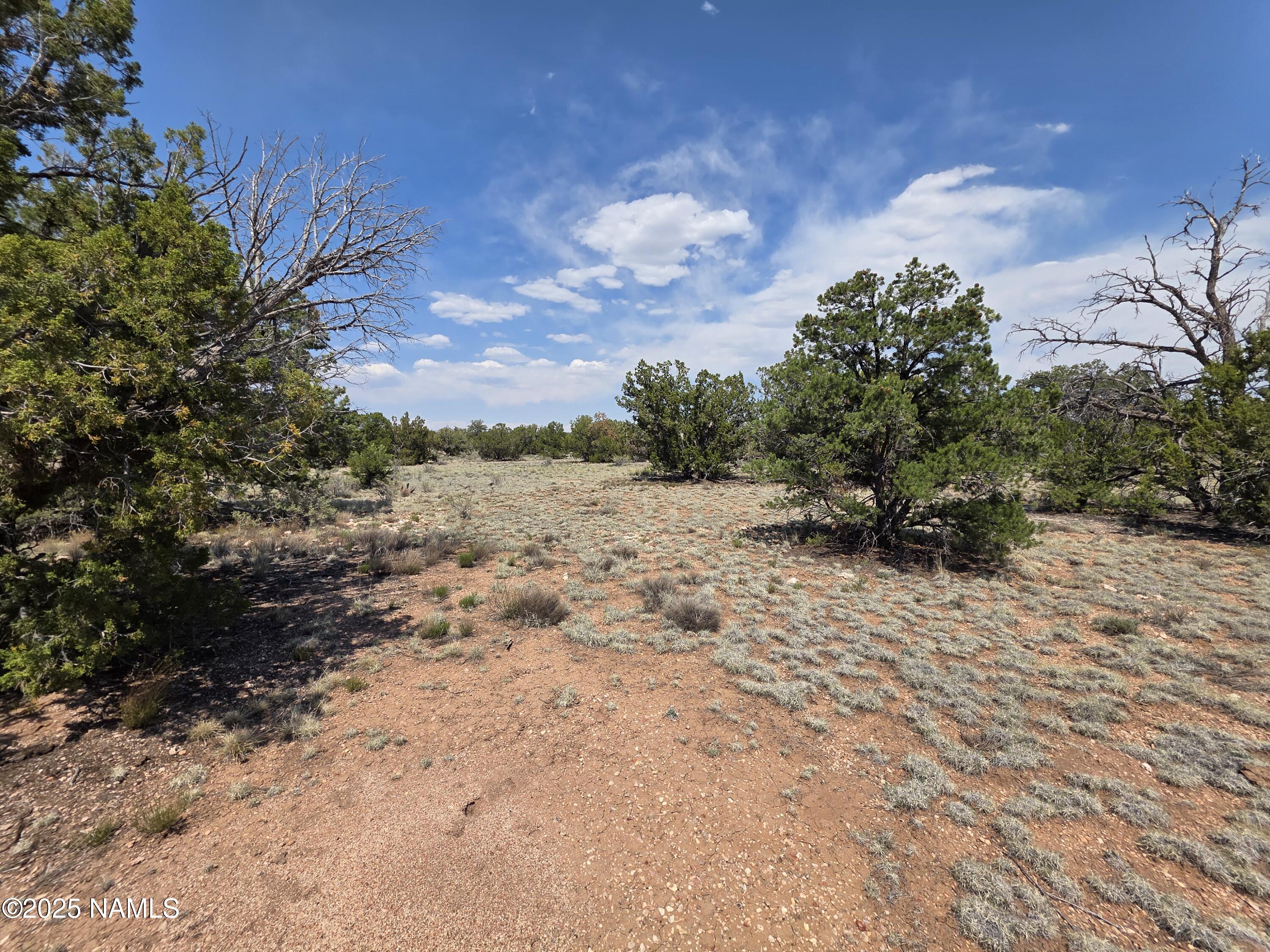 913 South Kaibab Road Williams, AZ 86046 - Photo 17 of 27 a view of a yard with a tree
