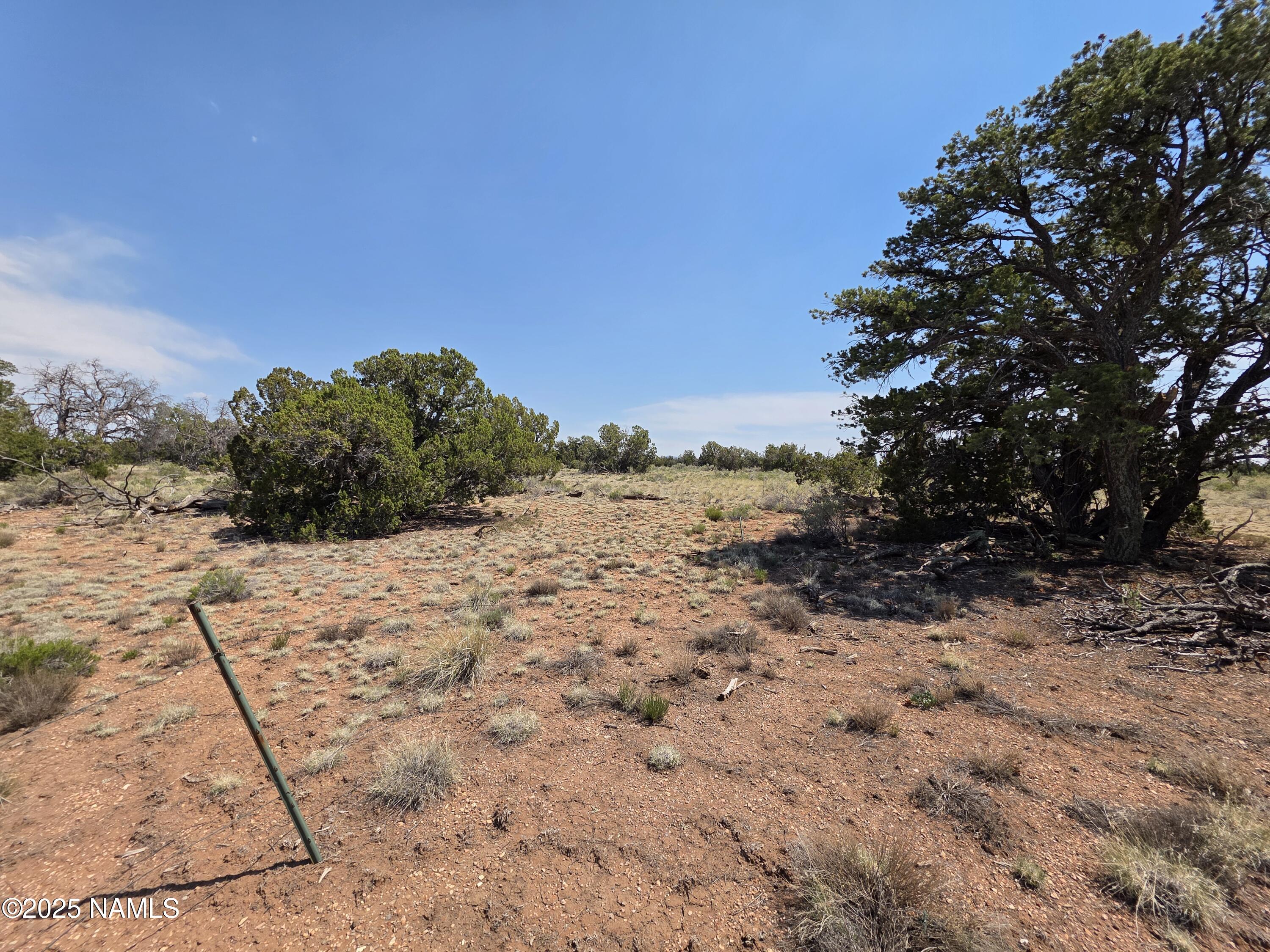 913 South Kaibab Road Williams, AZ 86046 - Photo 2 of 27 a view of a dry yard with a tree