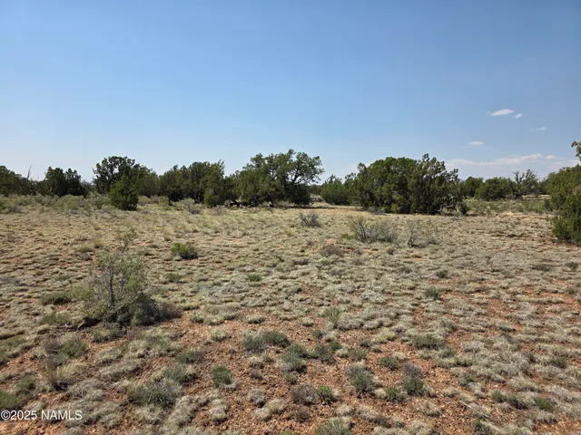 a view of a field with trees in the background
