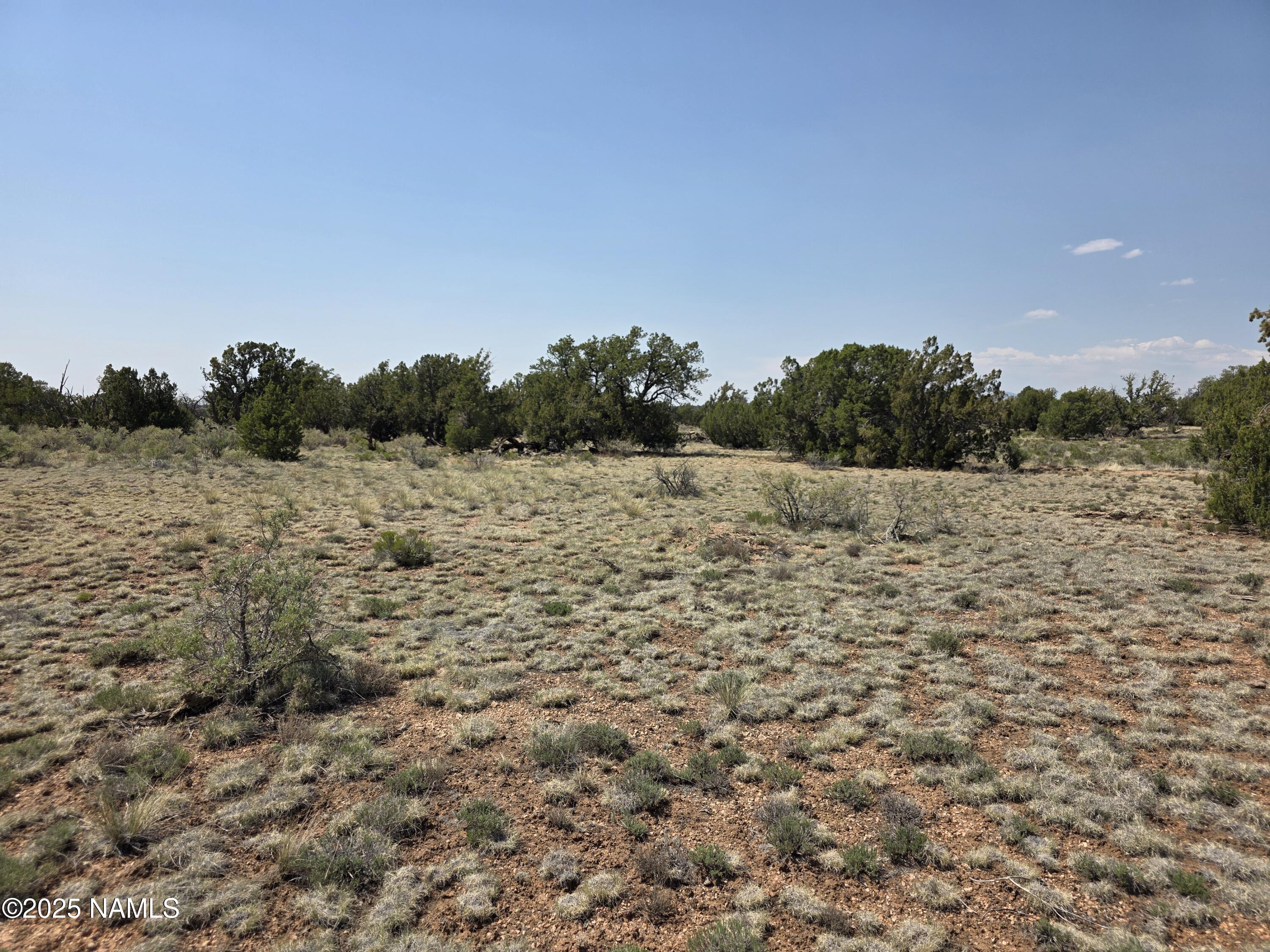913 South Kaibab Road Williams, AZ 86046 - Photo 22 of 27 a view of a field with trees in the background