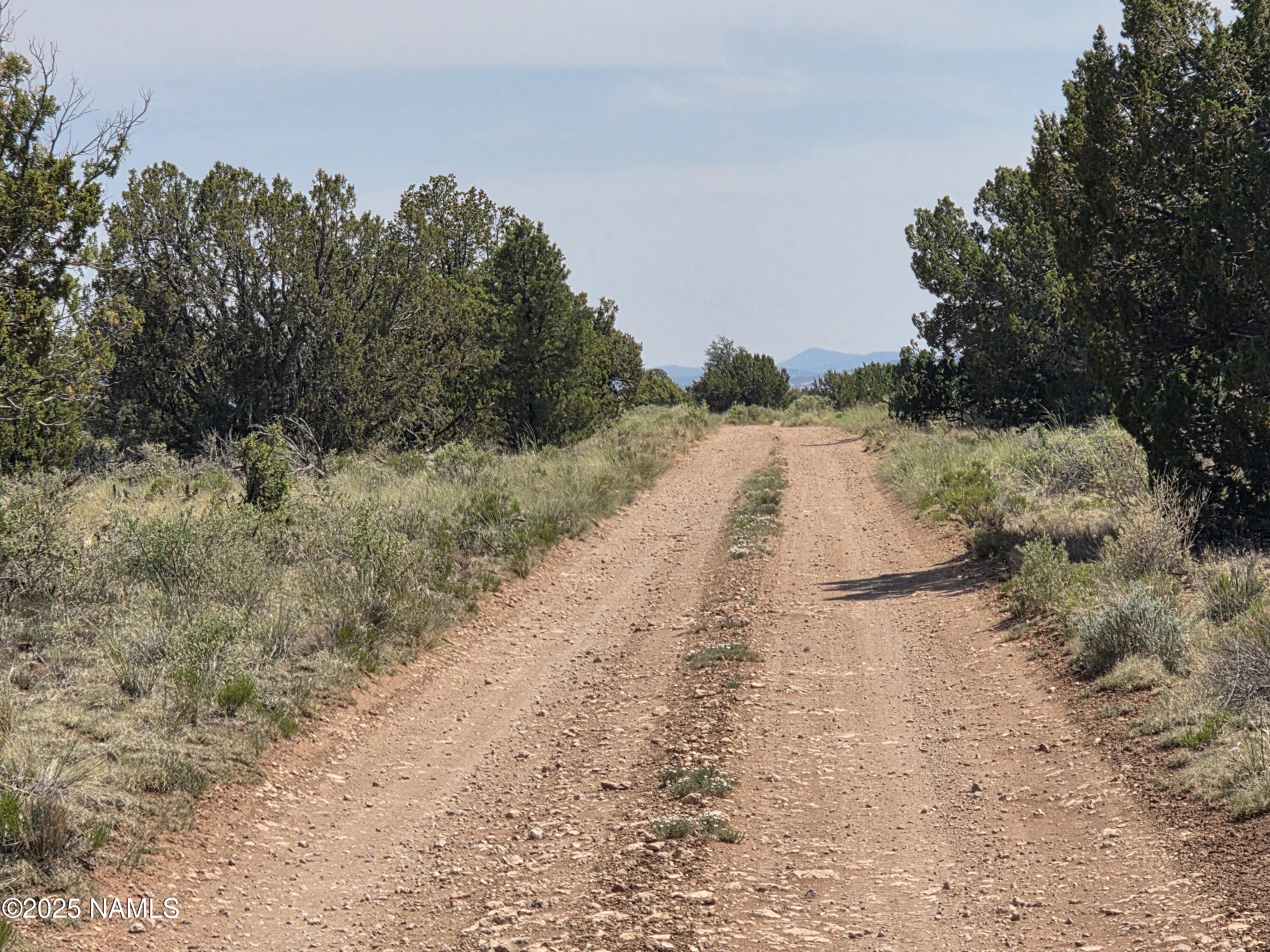 913 South Kaibab Road Williams, AZ 86046 - Photo 23 of 27 a view of a dry yard with trees