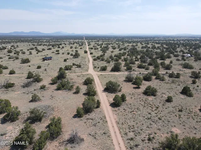 a view of a dry yard