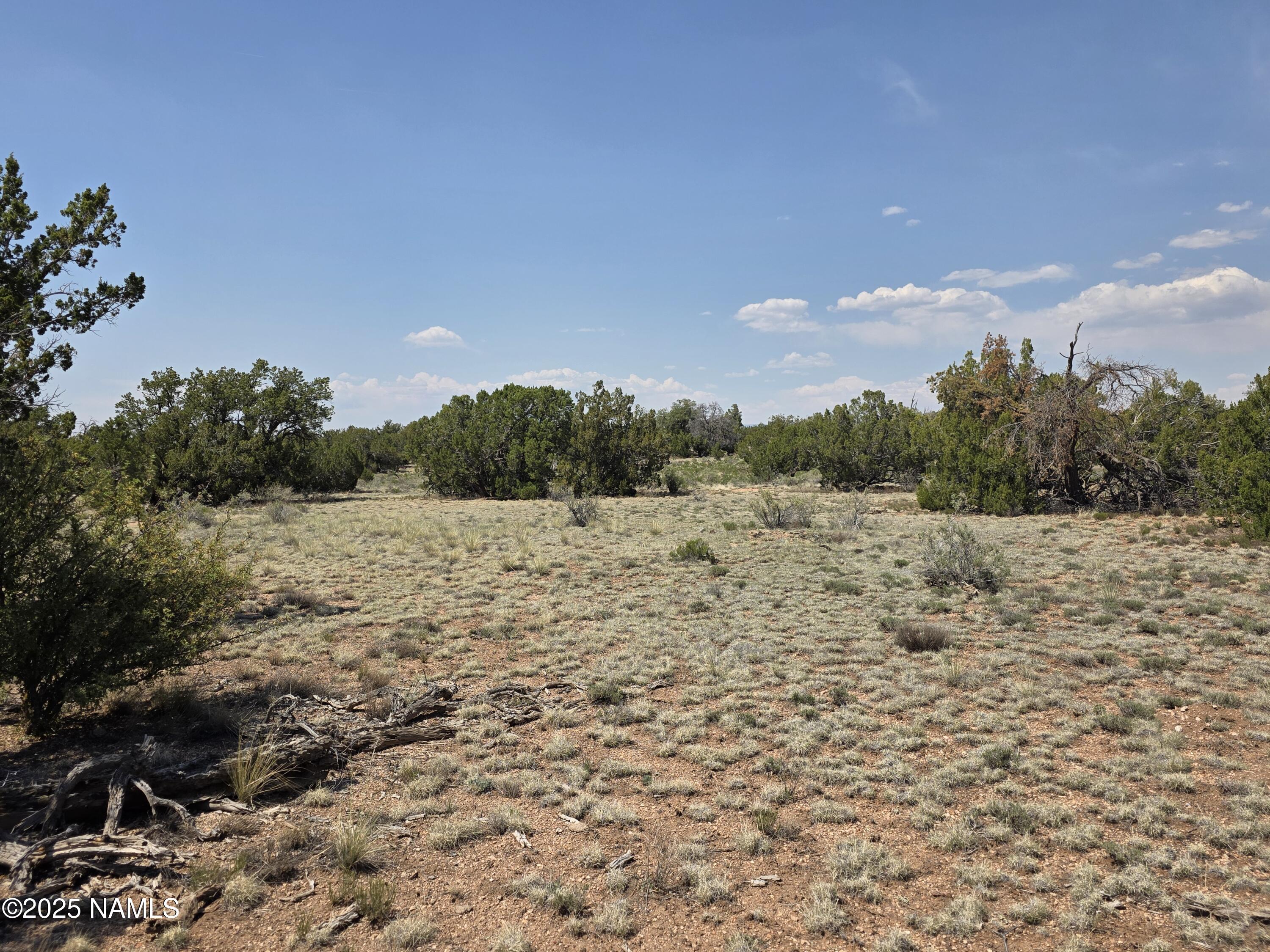 913 South Kaibab Road Williams, AZ 86046 - Photo 4 of 27 a view of a dry yard with trees