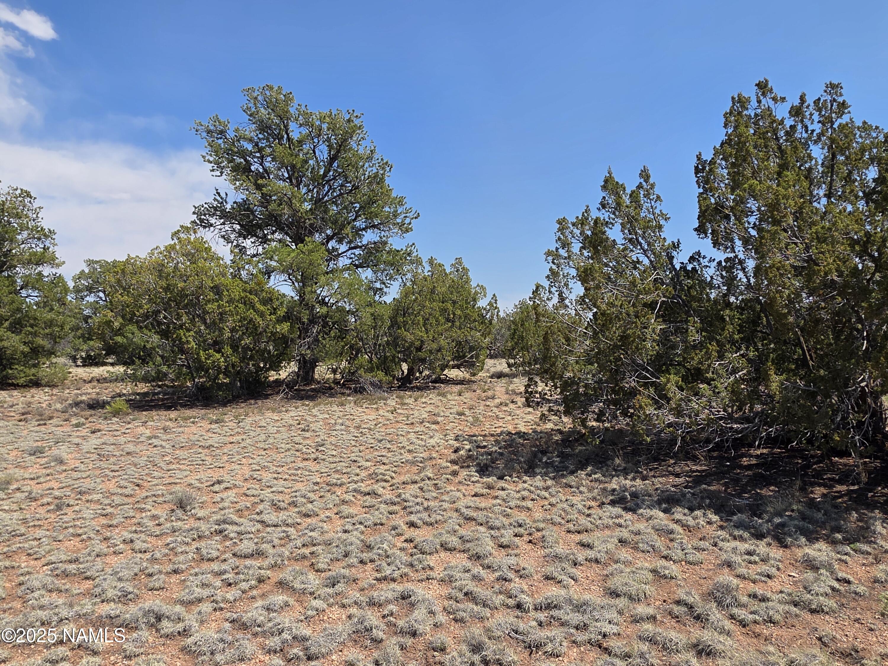 913 South Kaibab Road Williams, AZ 86046 - Photo 7 of 27 a street view with yard