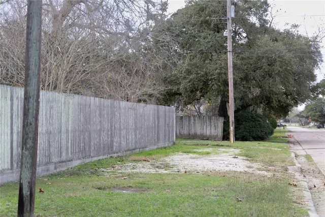 a view of backyard with tree