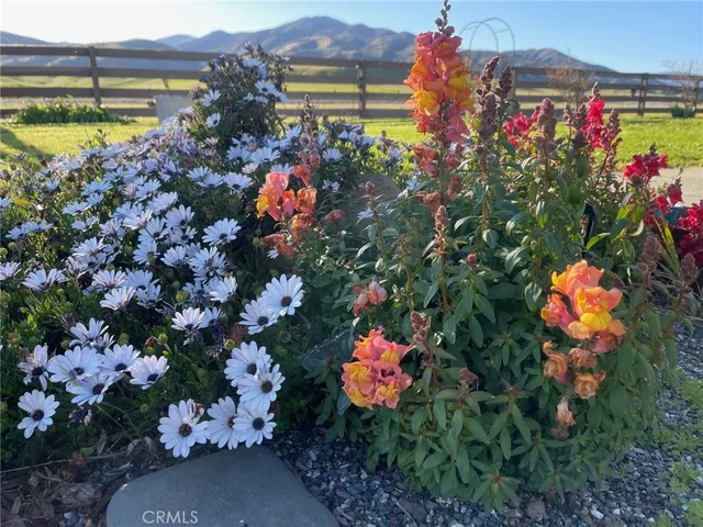 $750,000 | 4100 County Road 306, Orland, CA 95963