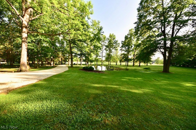 17100 Heiser Road Berlin Center, OH 44401 - Photo 4 of 19 Gallery Image 4