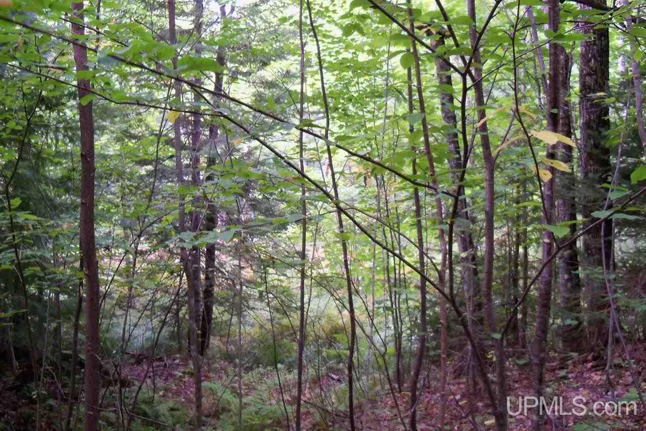 26 Co Road Negaunee, MI 49866 - Photo 8 of 31