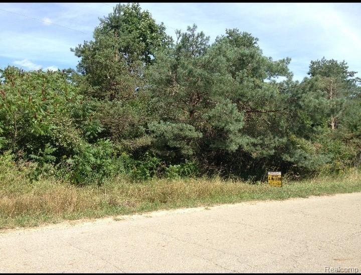 V/l Shay Lake Road Kingston, MI 48741 - Photo 2 of 2 woods.jpg