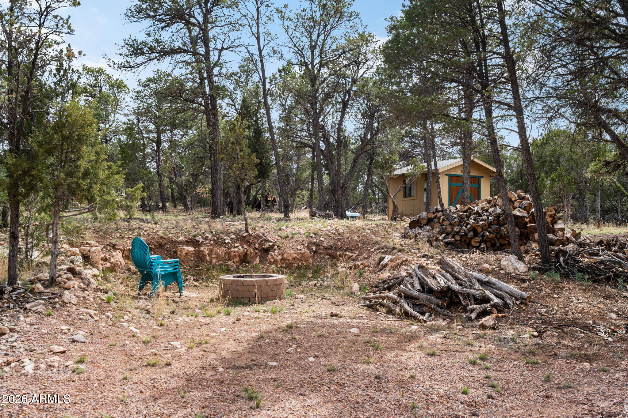 2095 Ranger Road Overgaard, AZ 85933 - Photo 24 of 25 a view of a fire pit with large trees