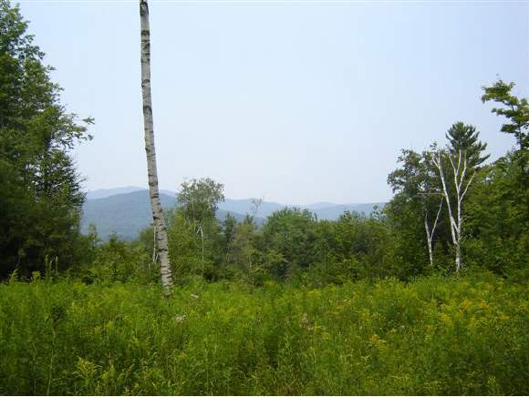 Lot 16 West Pinnacle Ridge Road Waterbury, VT 05676 - Photo 1 of 1 Gallery Image 1