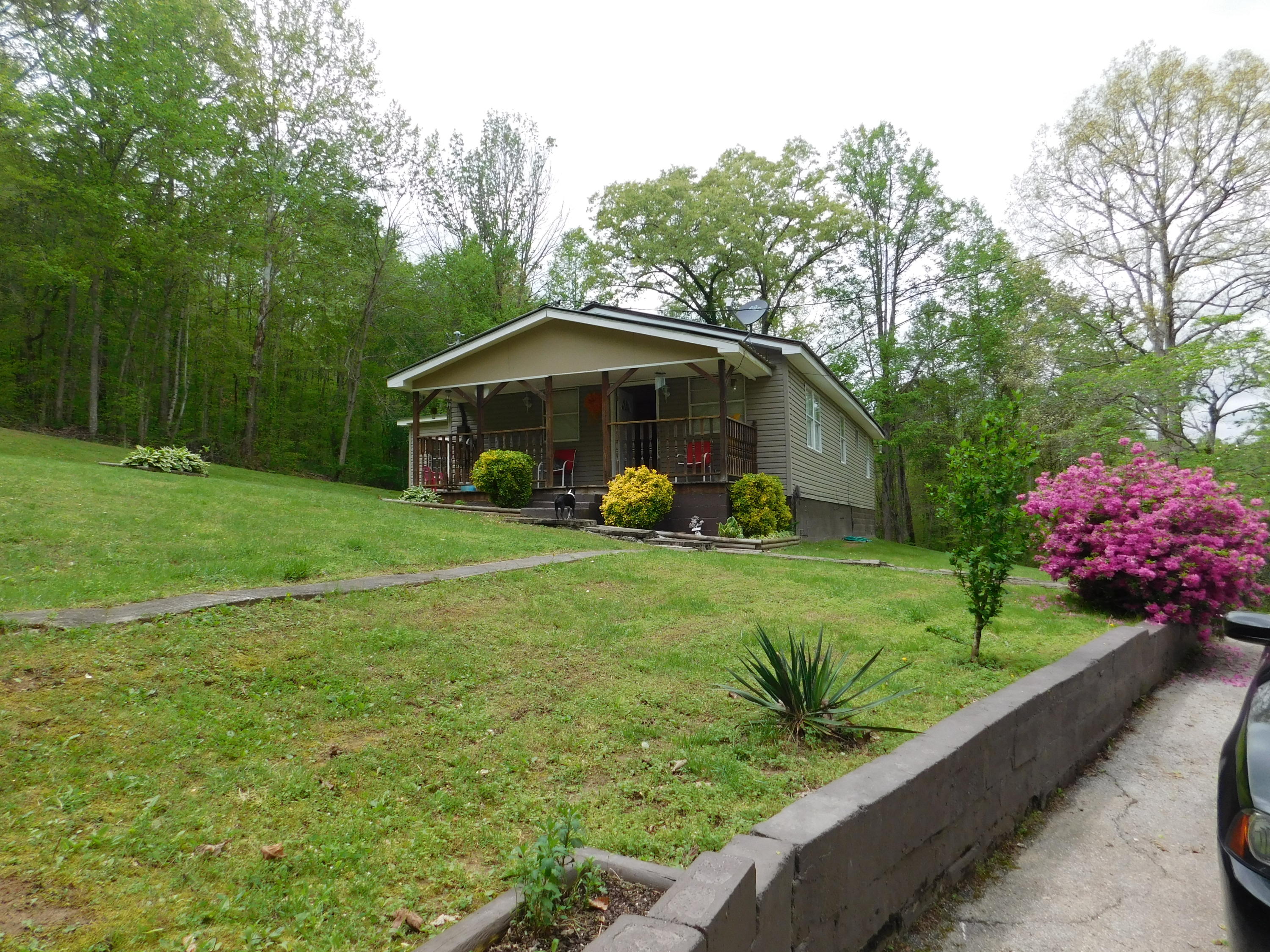 326 Braden Chapel Road Speedwell, TN 37870 - Photo 20 of 36 DSCN2352