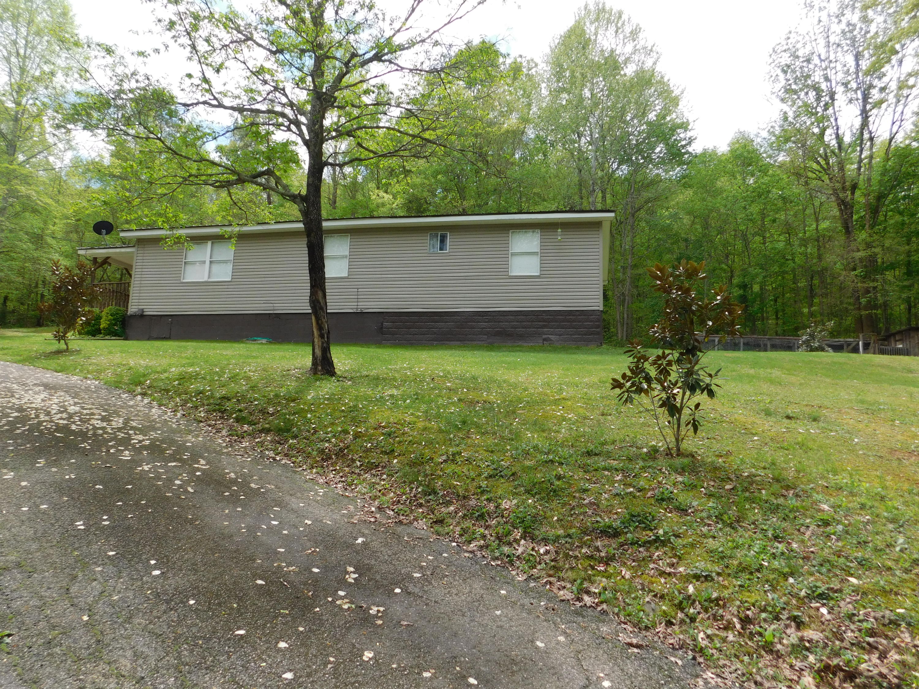 326 Braden Chapel Road Speedwell, TN 37870 - Photo 21 of 36 DSCN2355