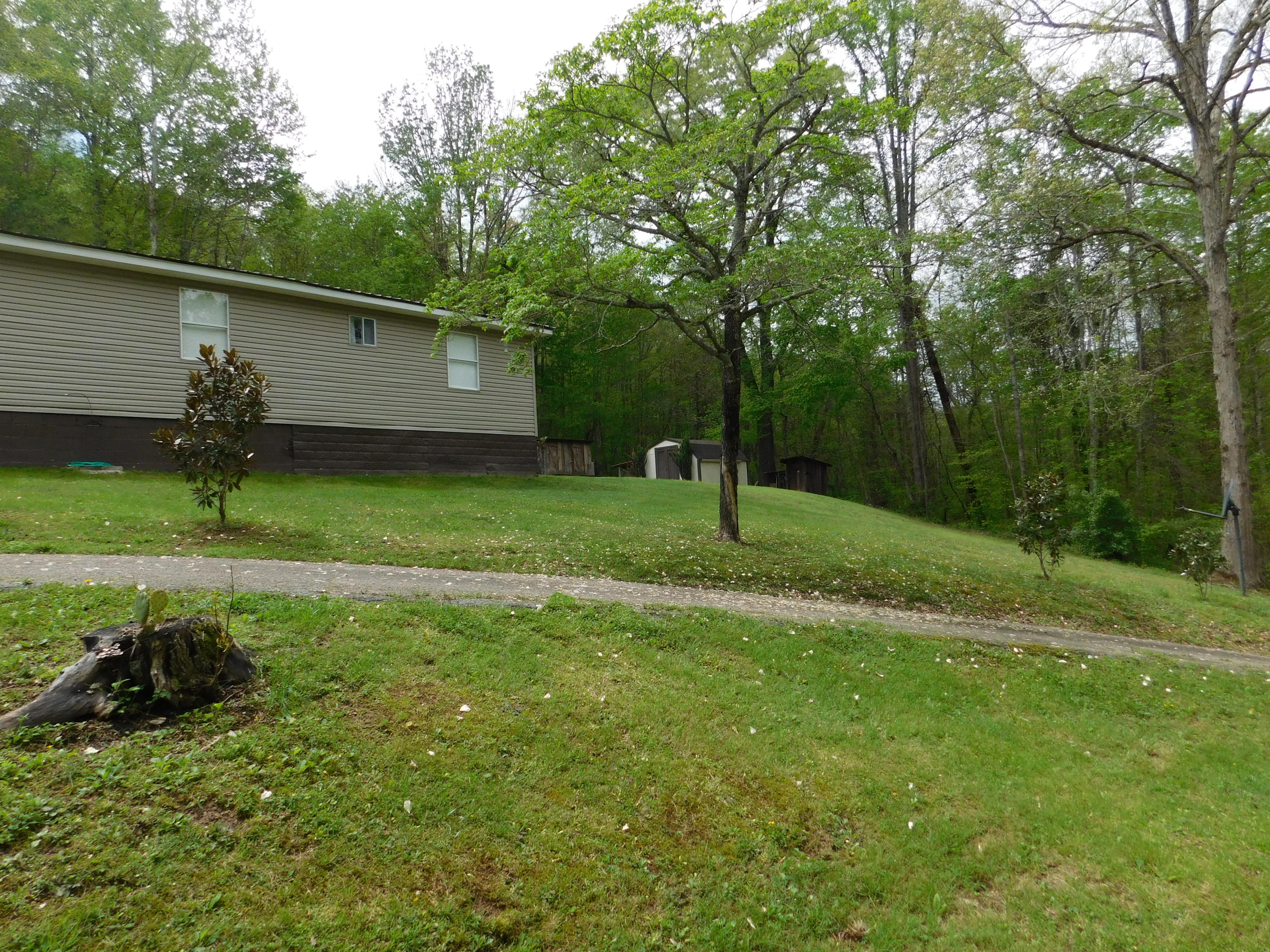 326 Braden Chapel Road Speedwell, TN 37870 - Photo 22 of 36 DSCN2354