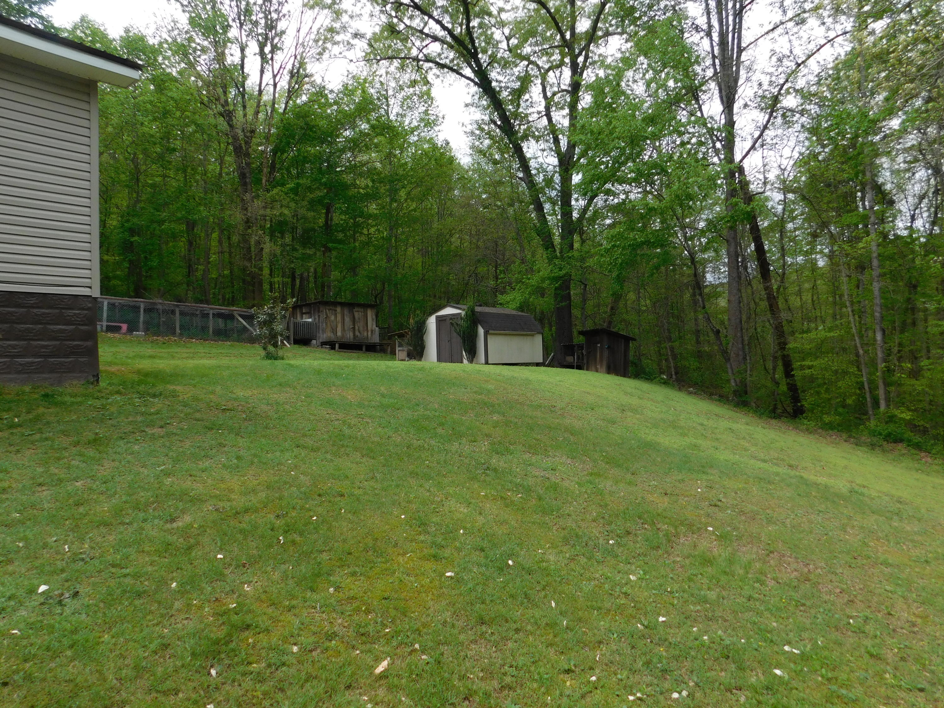 326 Braden Chapel Road Speedwell, TN 37870 - Photo 23 of 36 DSCN2356