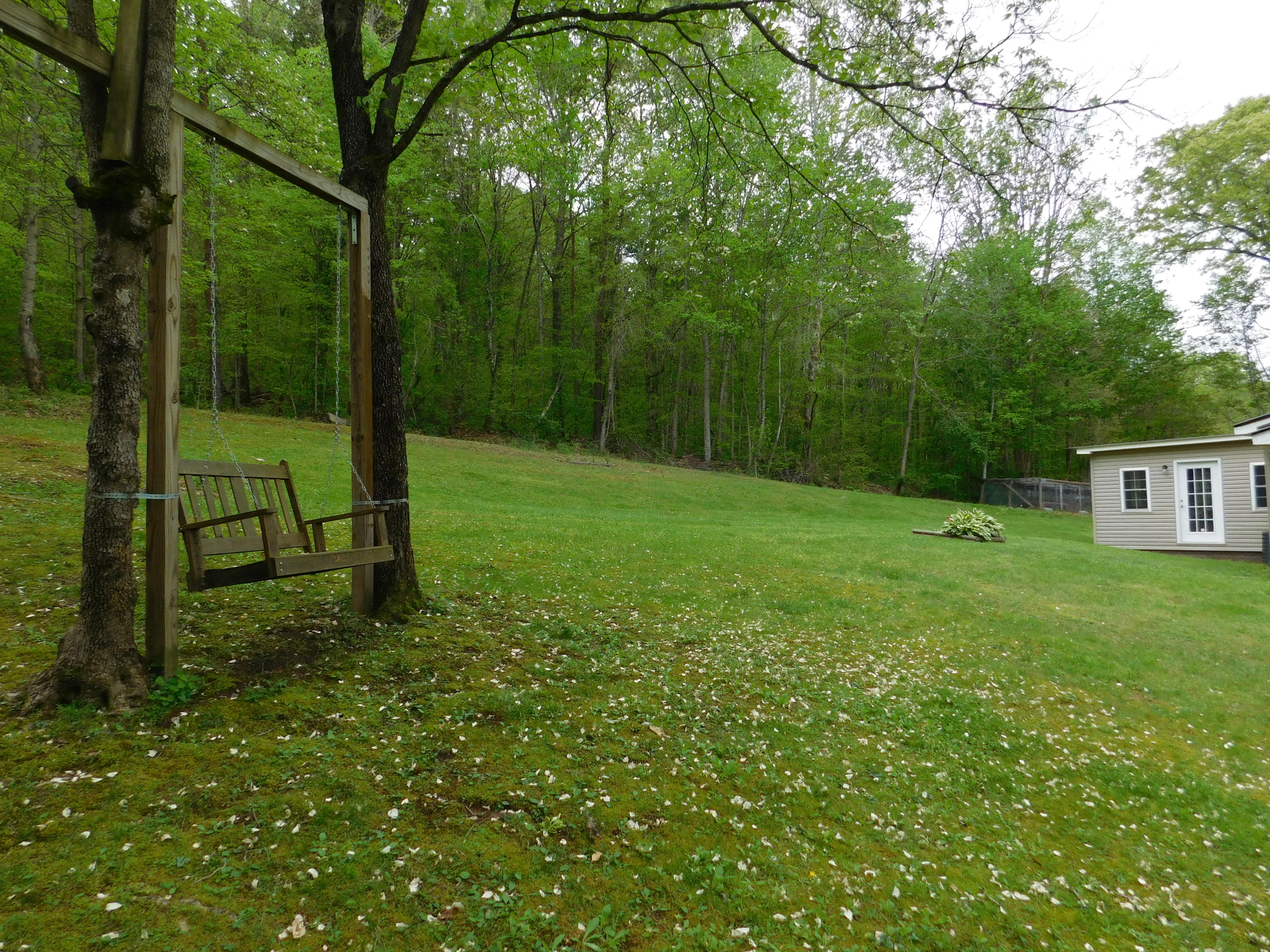 326 Braden Chapel Road Speedwell, TN 37870 - Photo 28 of 36 DSCN2363