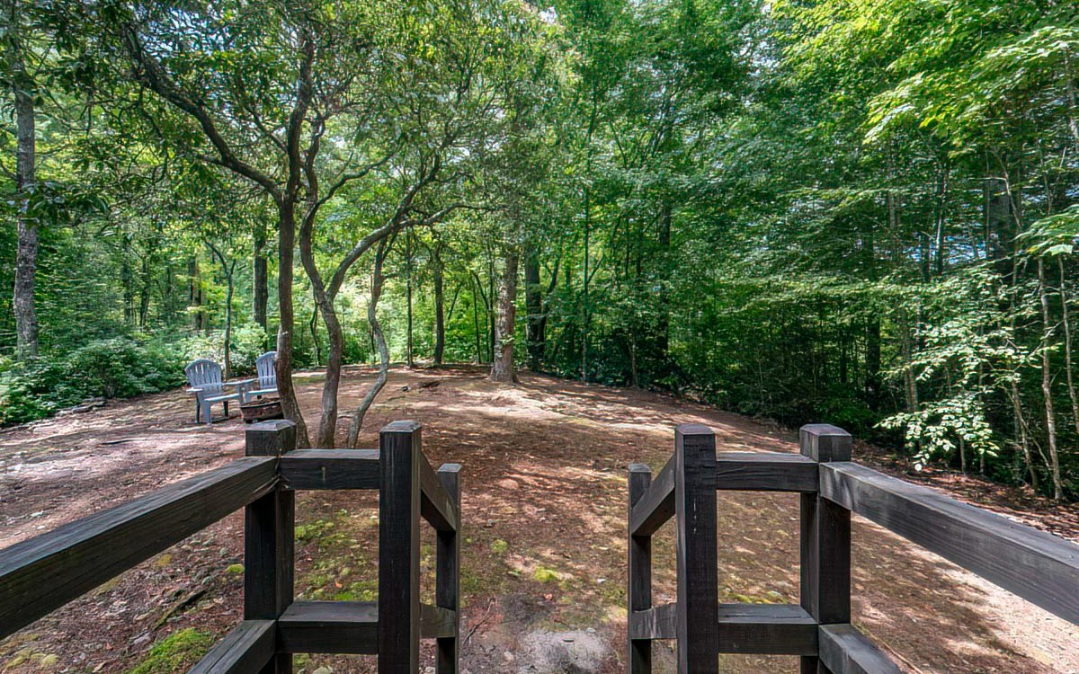 152 Tamisi Trail Blue Ridge, GA 30513 - Photo 40 of 52 Additional View