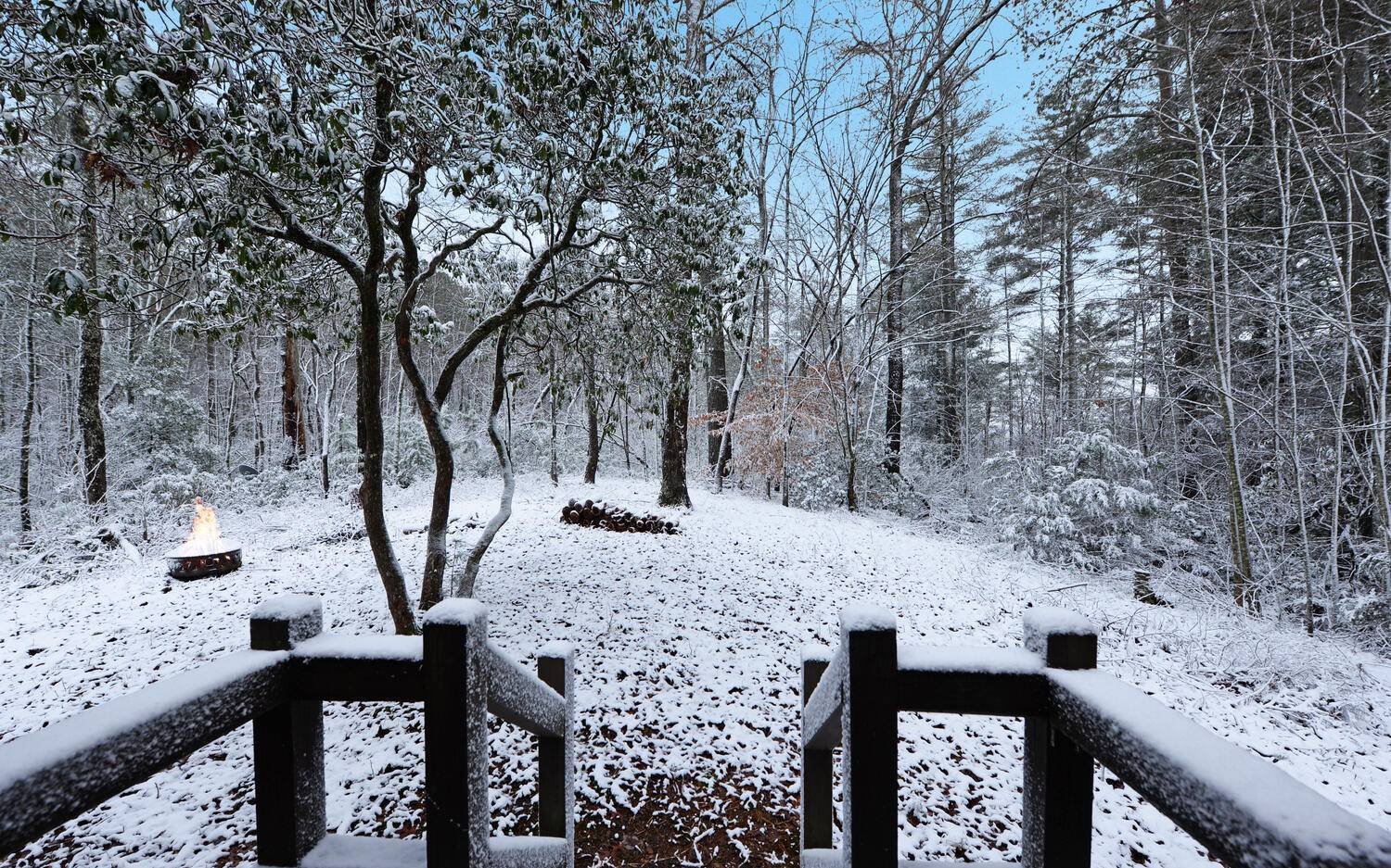 152 Tamisi Trail Blue Ridge, GA 30513 - Photo 41 of 52 Additional View