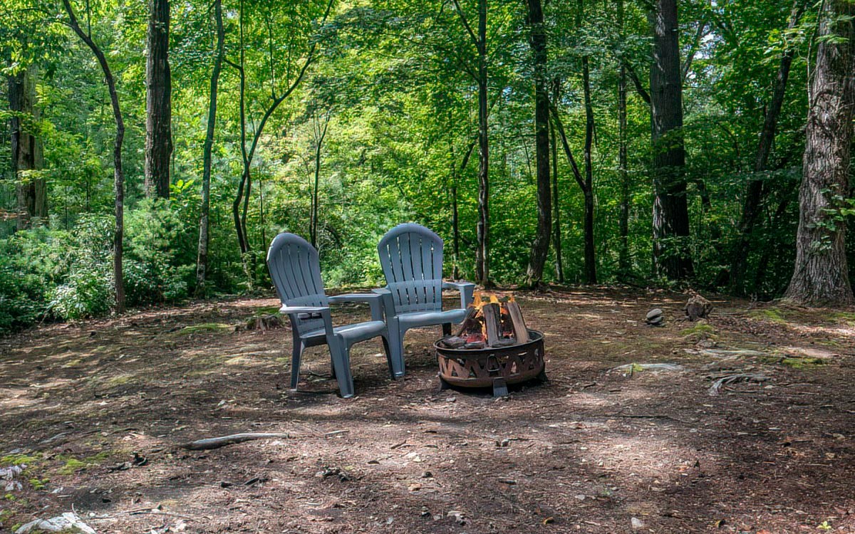 152 Tamisi Trail Blue Ridge, GA 30513 - Photo 42 of 52 Additional View